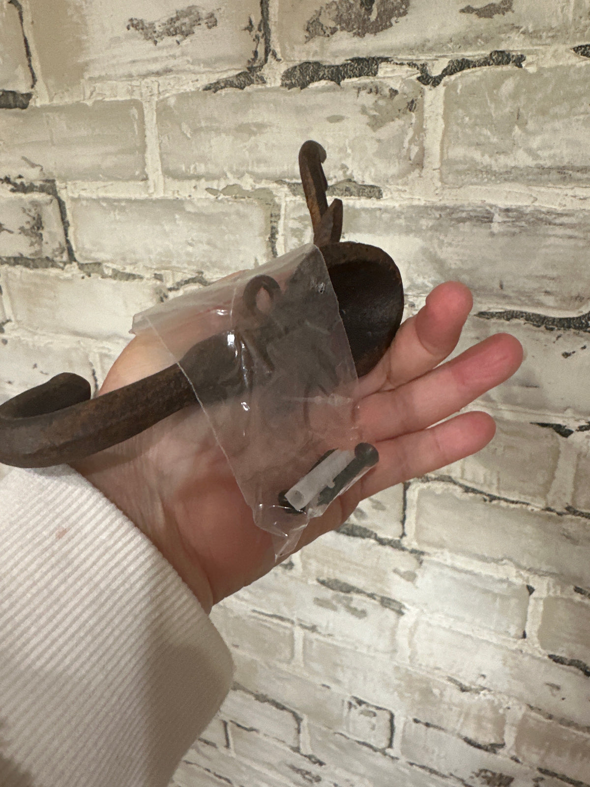 Deer Head wall hook