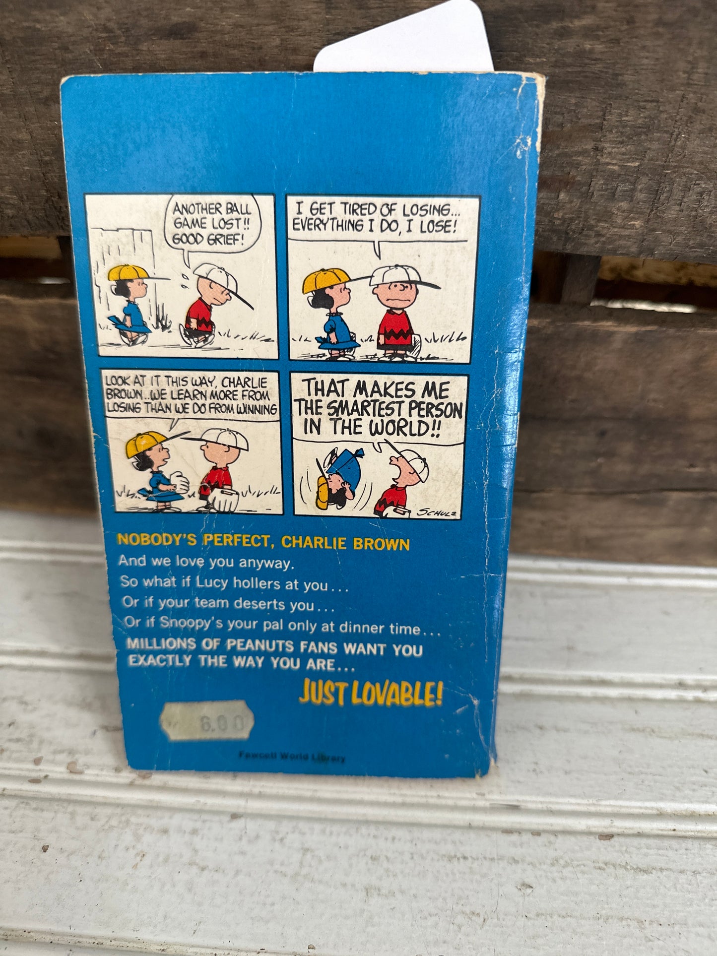 Nobody’s Perfect Charlie Brown