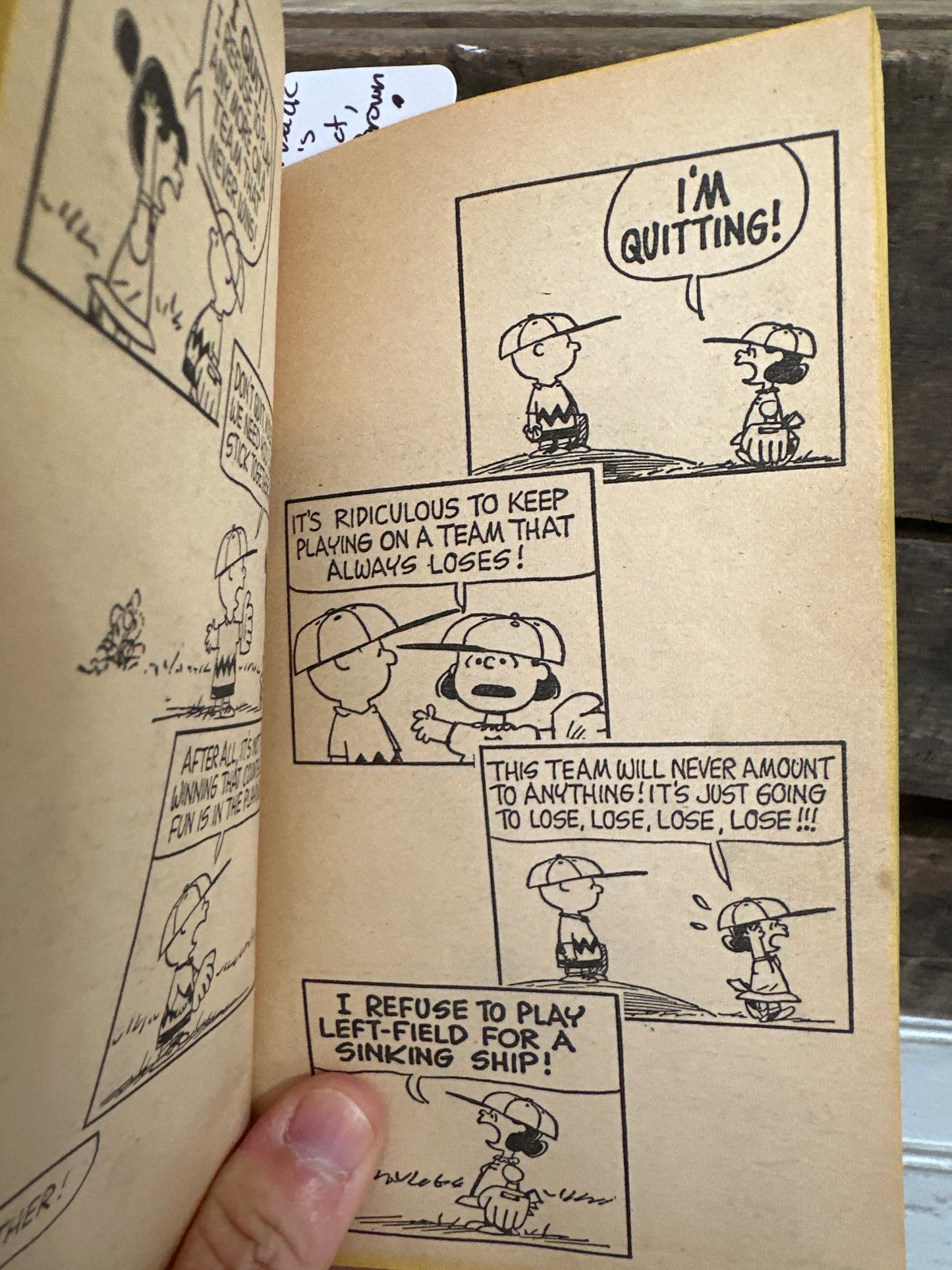Nobody’s Perfect Charlie Brown
