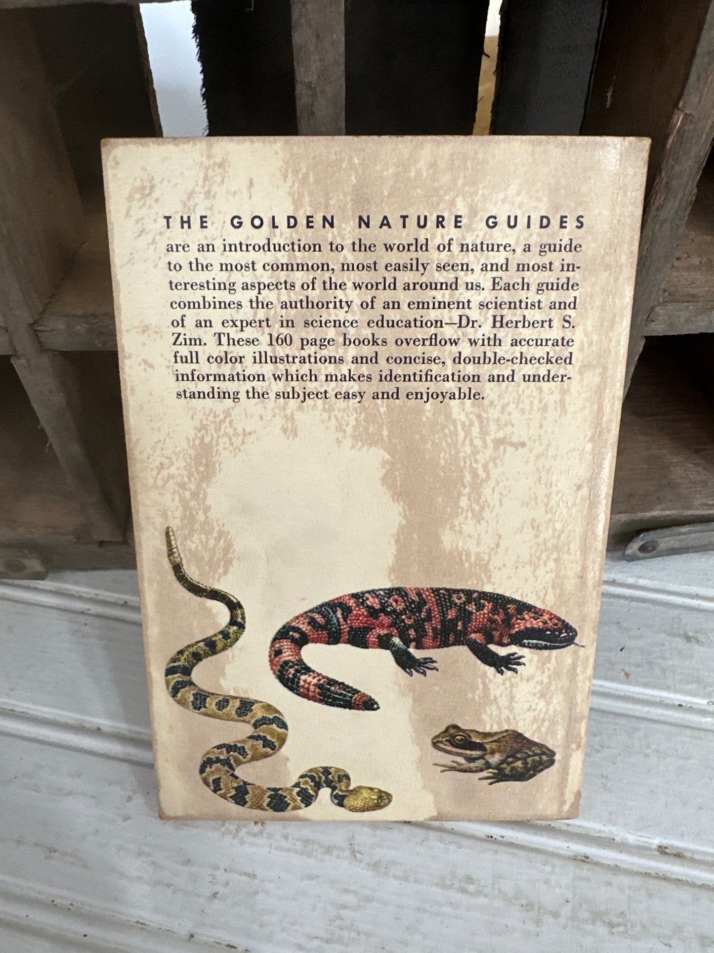 Reptiles and Amphibians guide