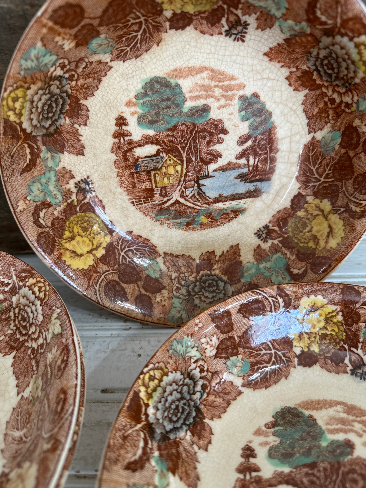 Nasco Mountain/ Woodland bowls- local pick up only