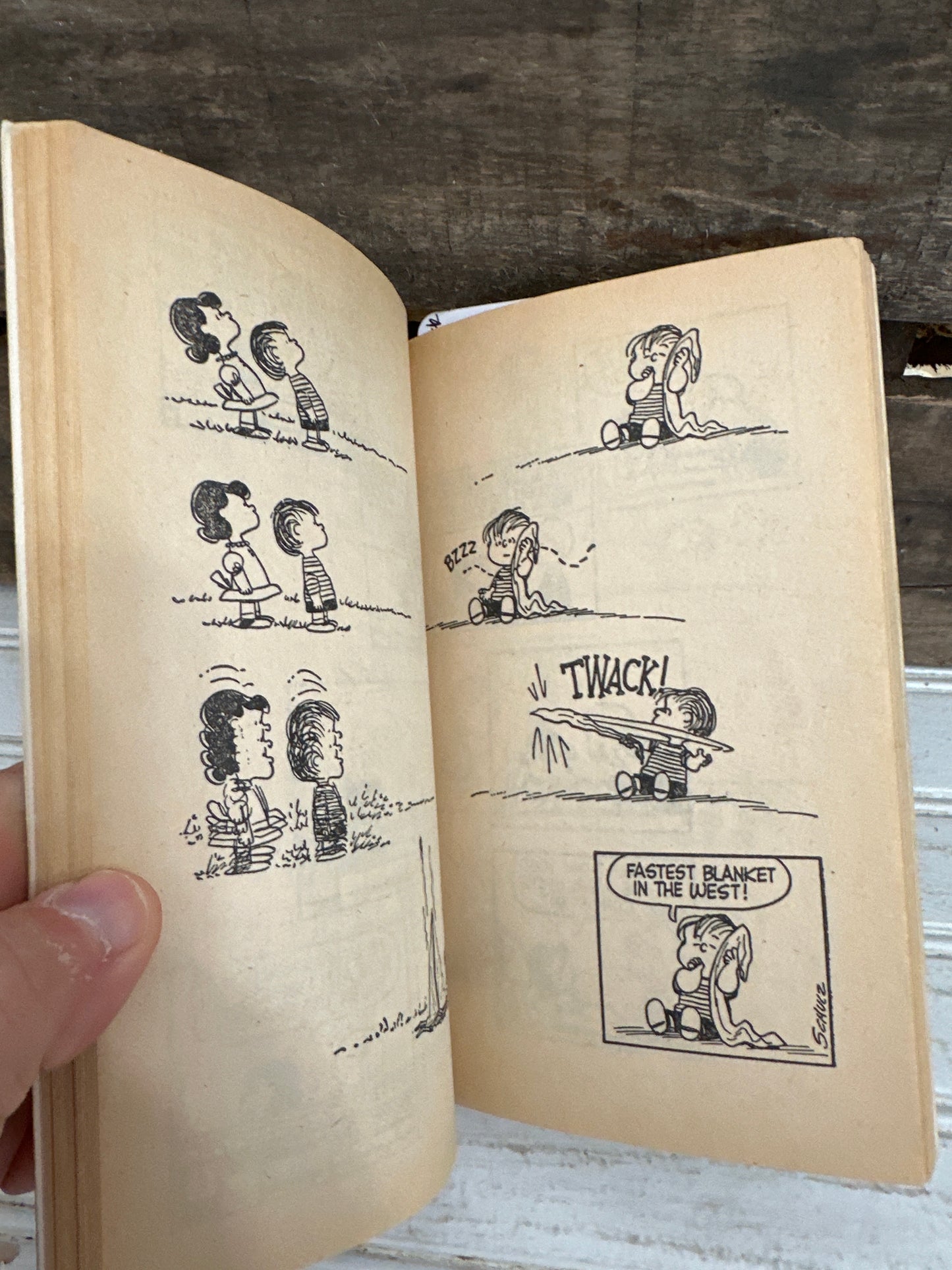 You Are Too Much, Charlie Brown