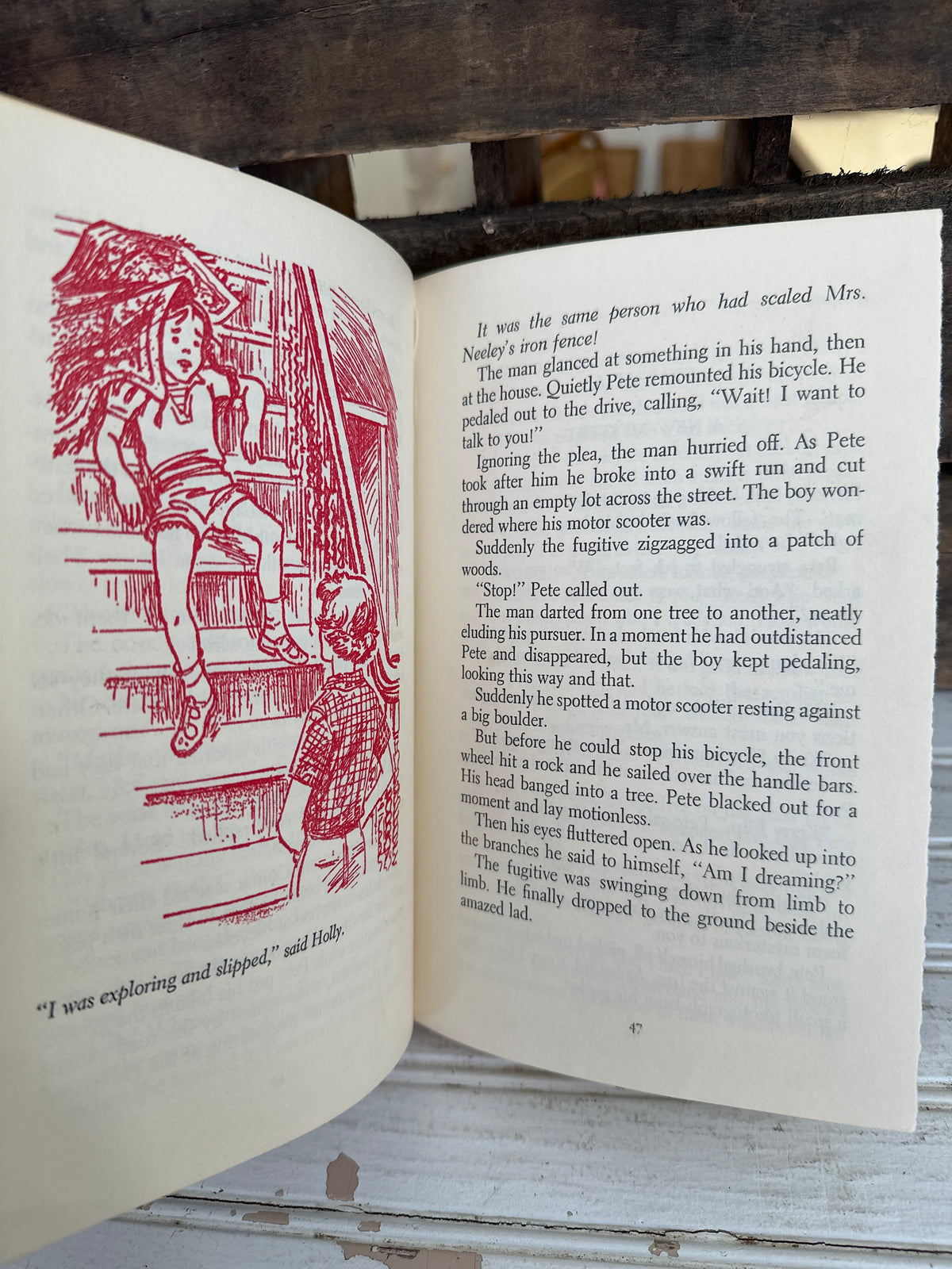 The Happy Hollisters and the Haunted House Mystery