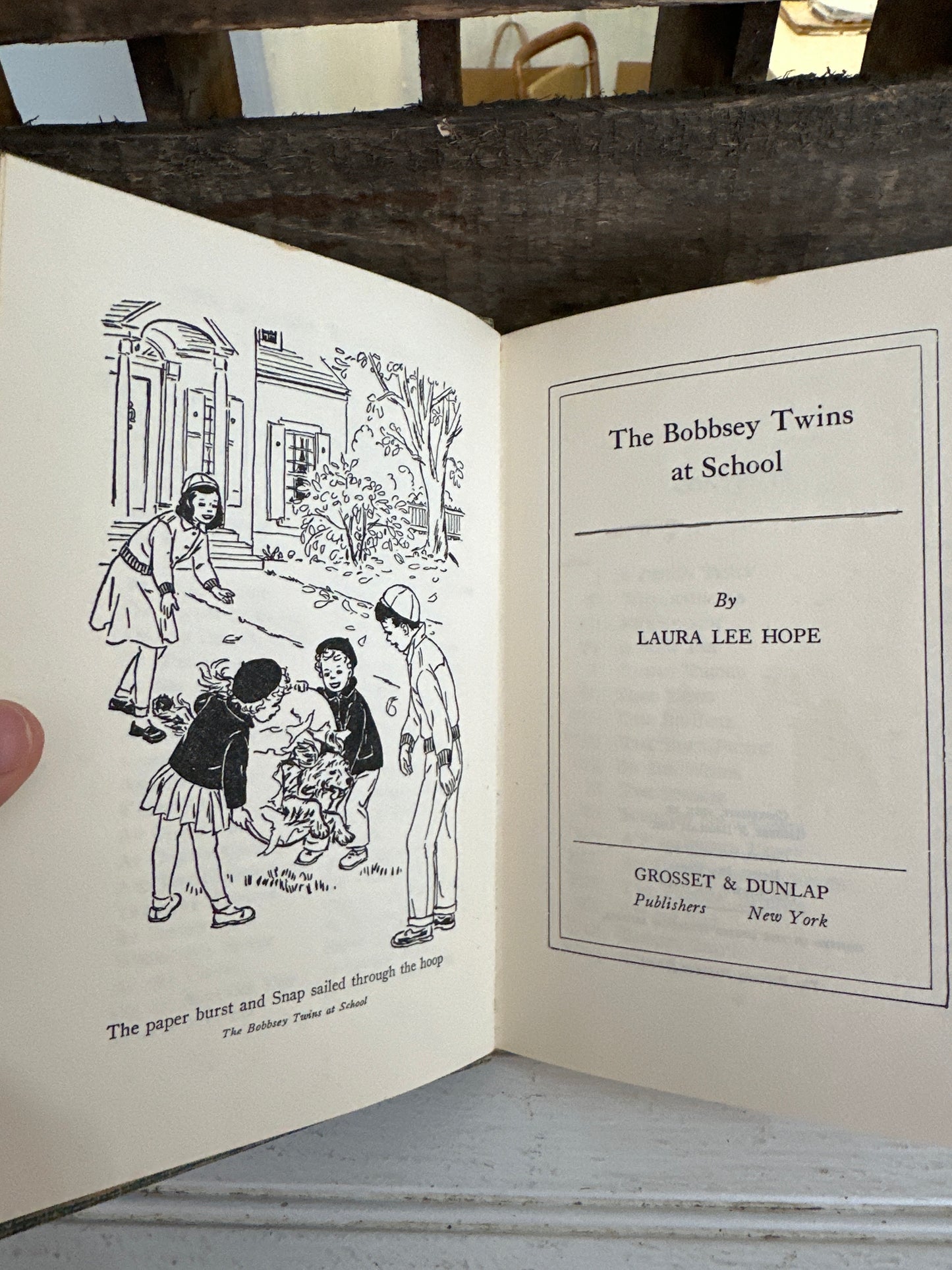 The Bobbsey Twins at School