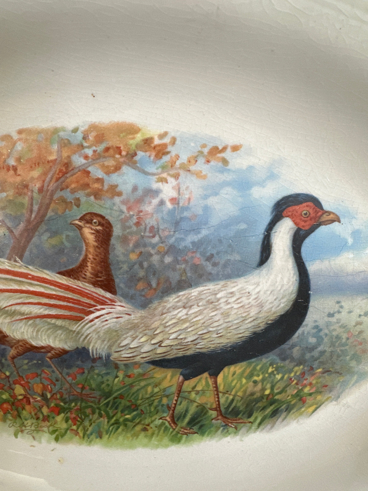 Game Birds- pheasants 1920’s platter- local pickup only