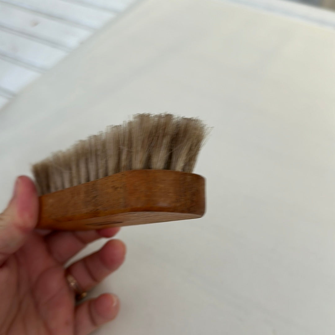 Shoe shine brush