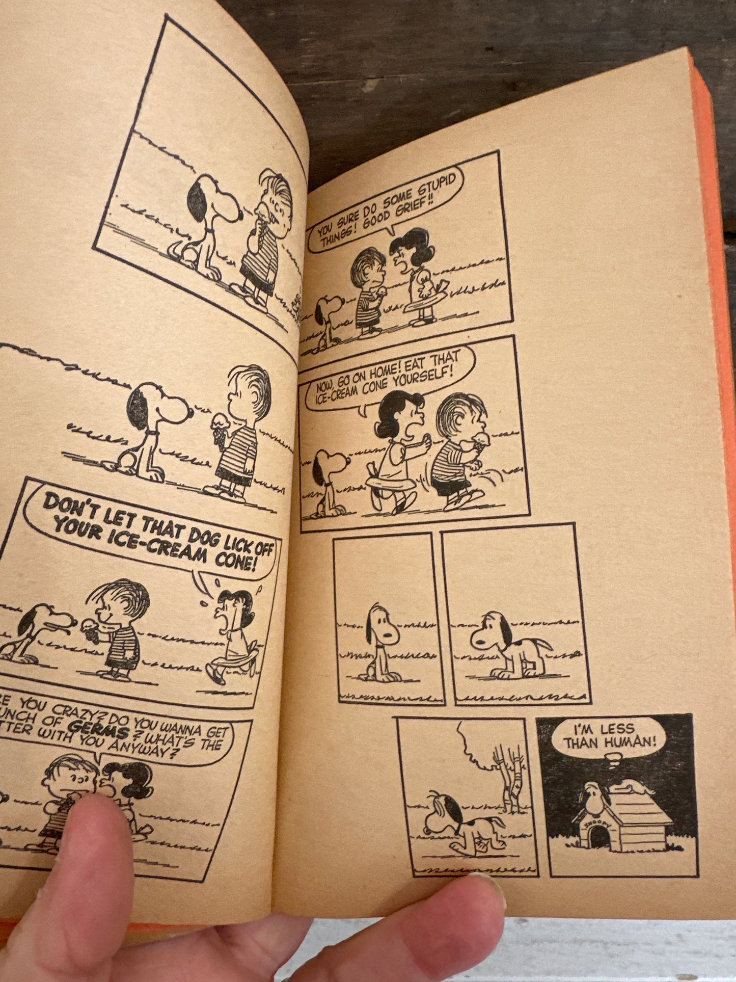 You’re My Hero, Charlie Brown