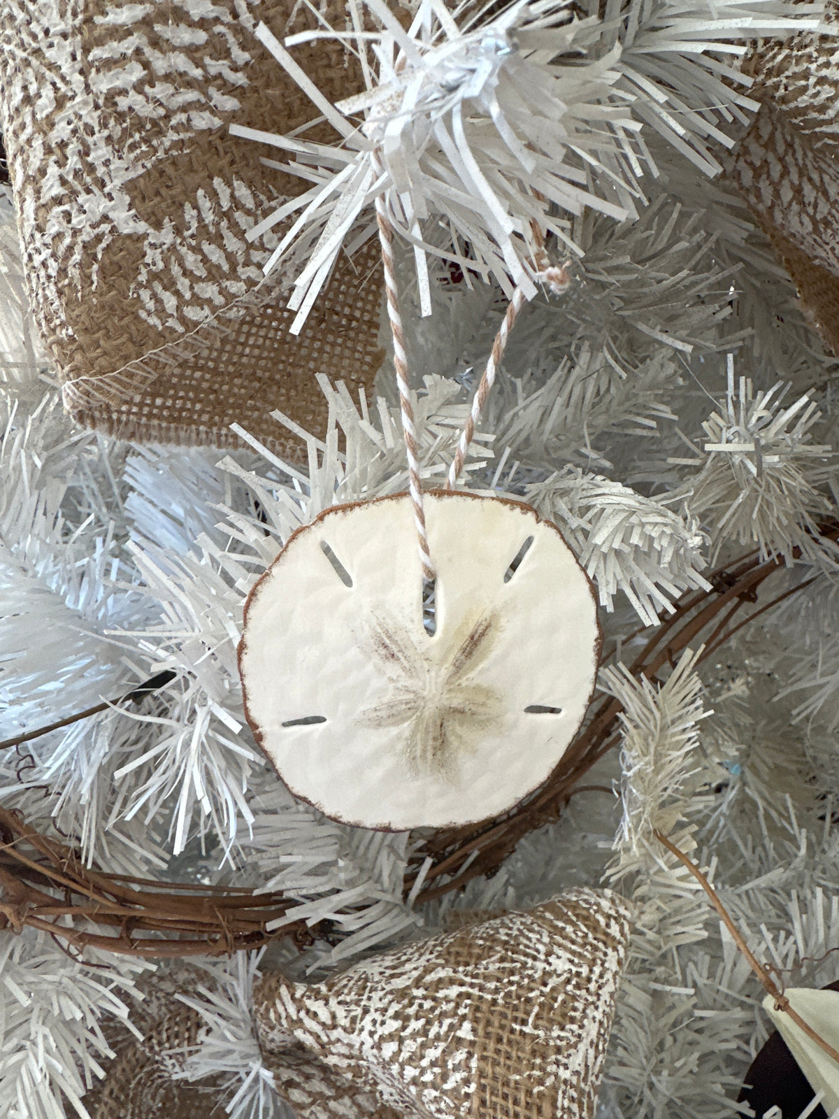 Sand Dollar ornament
