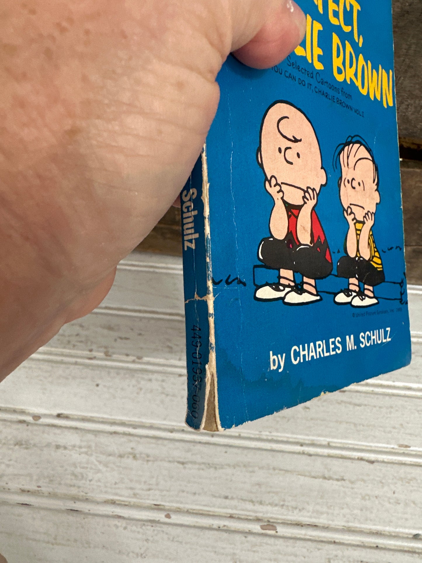 Nobody’s Perfect Charlie Brown