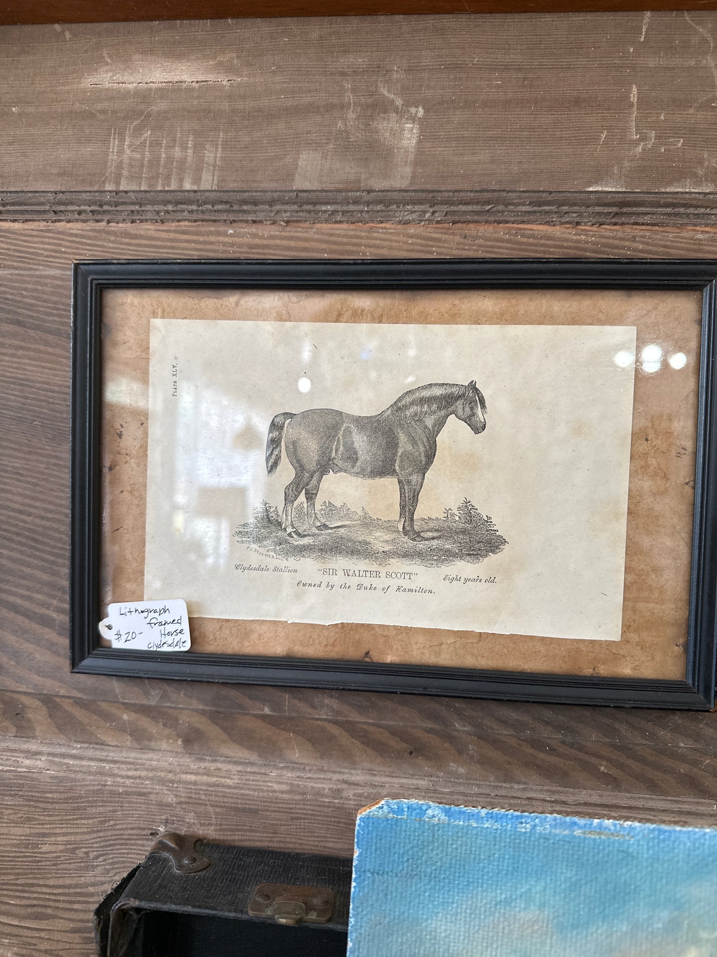 Vintage Book page framed Clydesdale horse