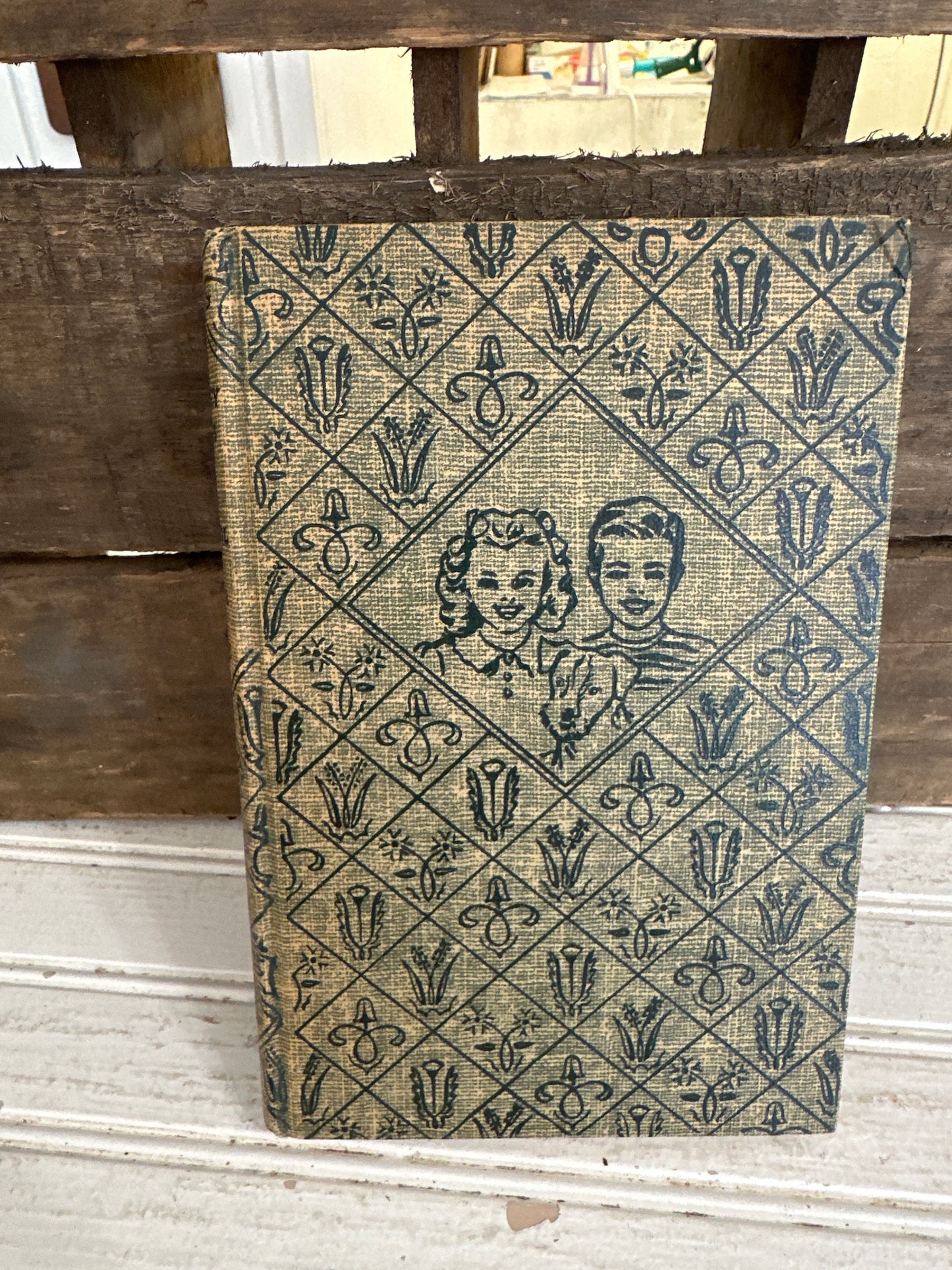 The Bobbsey Twins at School