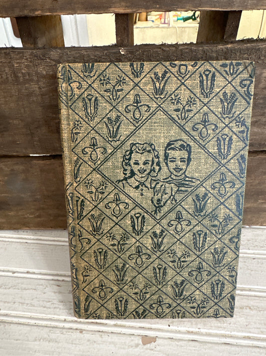 The Bobbsey Twins at School