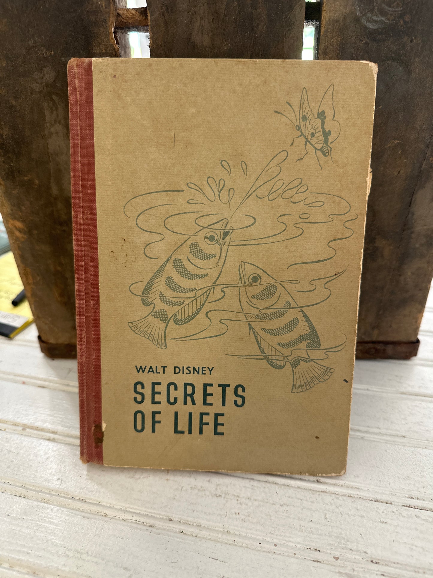 Walt Disney’s Secrets of Life book