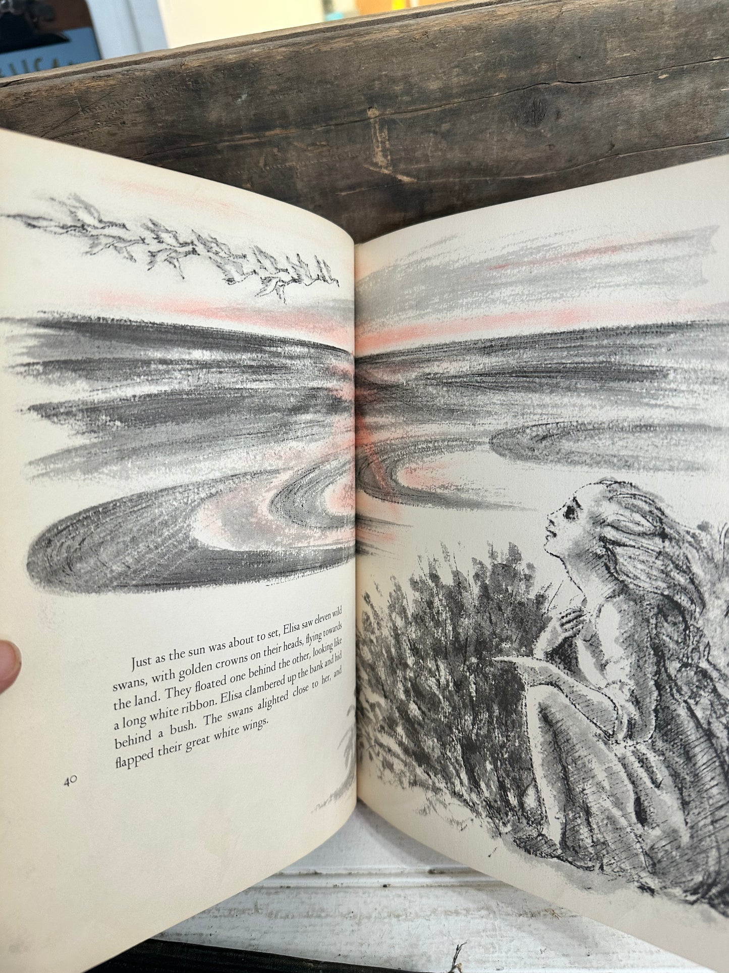 The Wild Swans