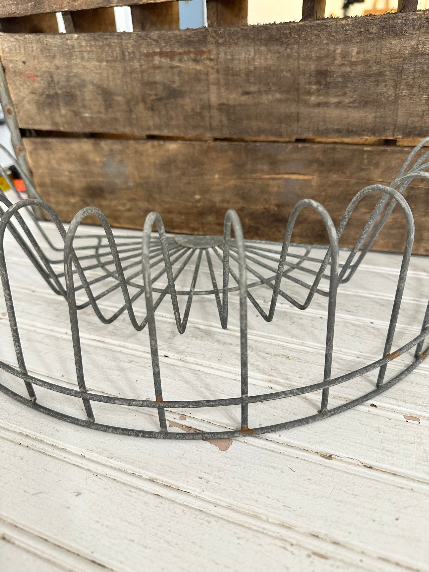 Half Round Plate Rack