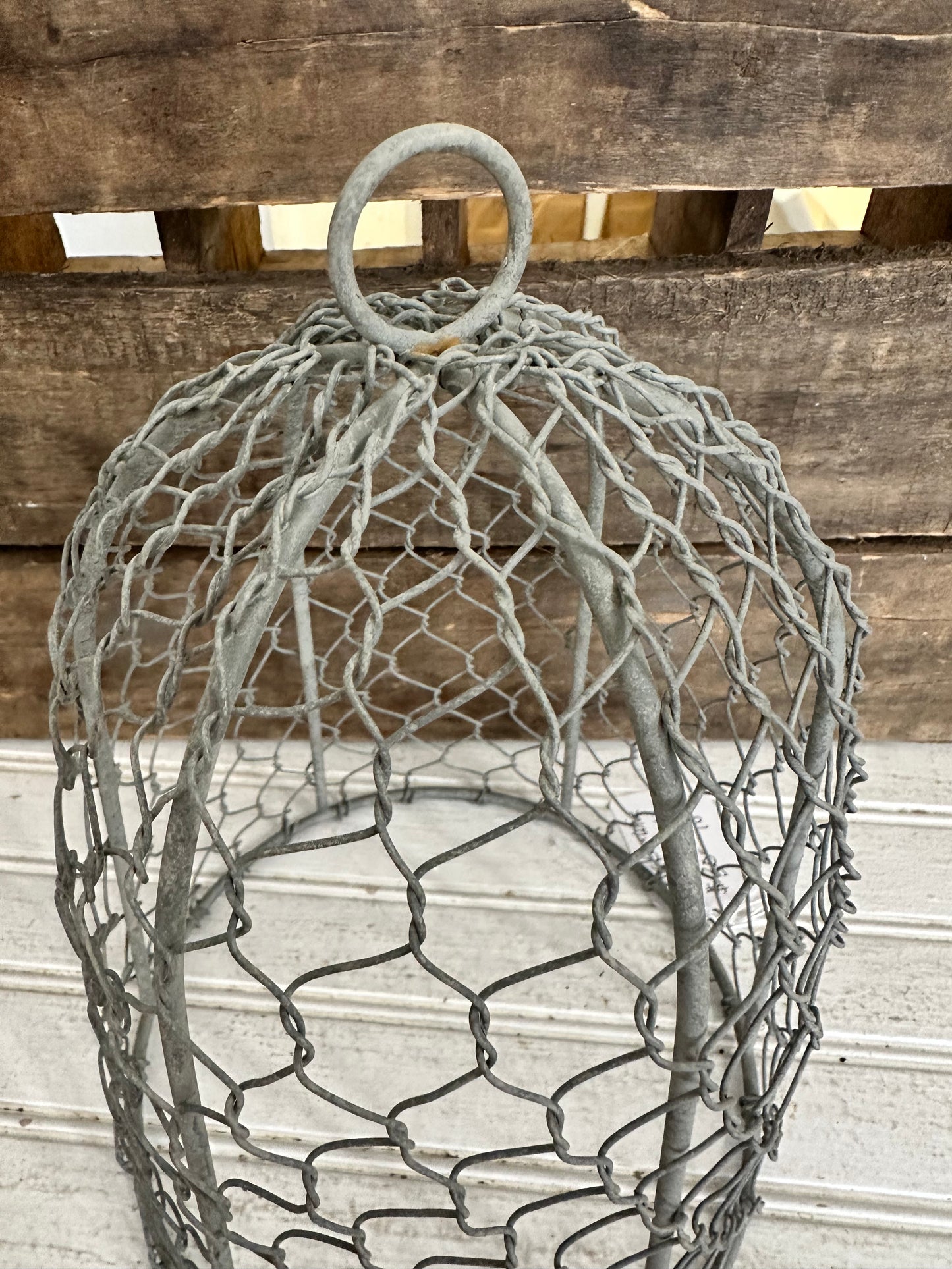 Chicken Wire Cloche