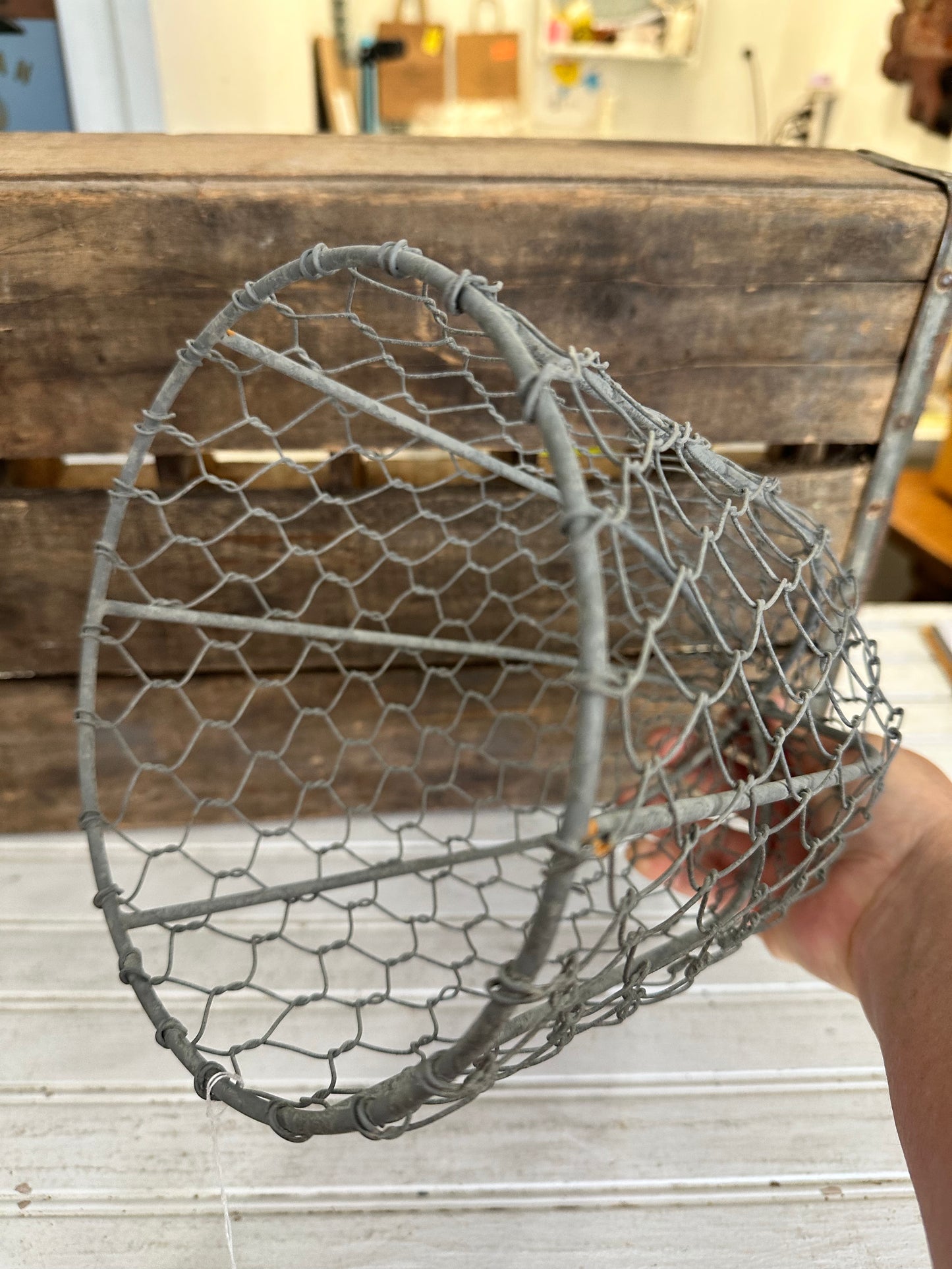 Chicken Wire Cloche