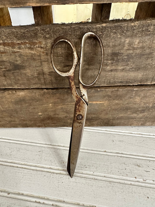 Metal Scissors