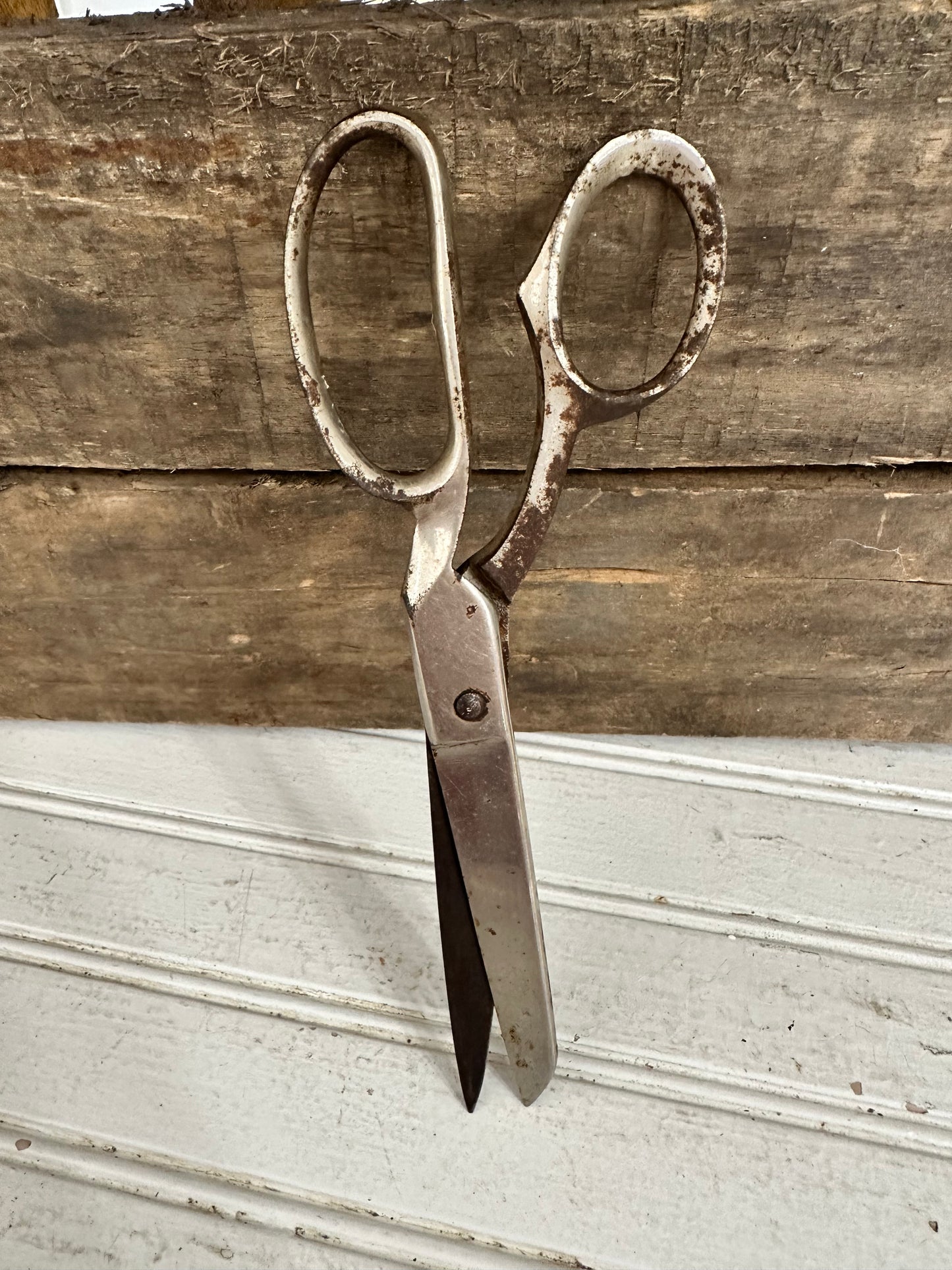 Metal Scissors