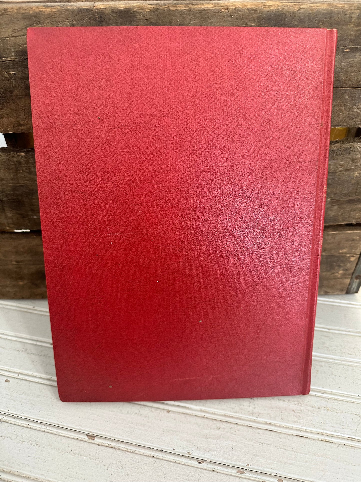 The Junior Instructor Book 2