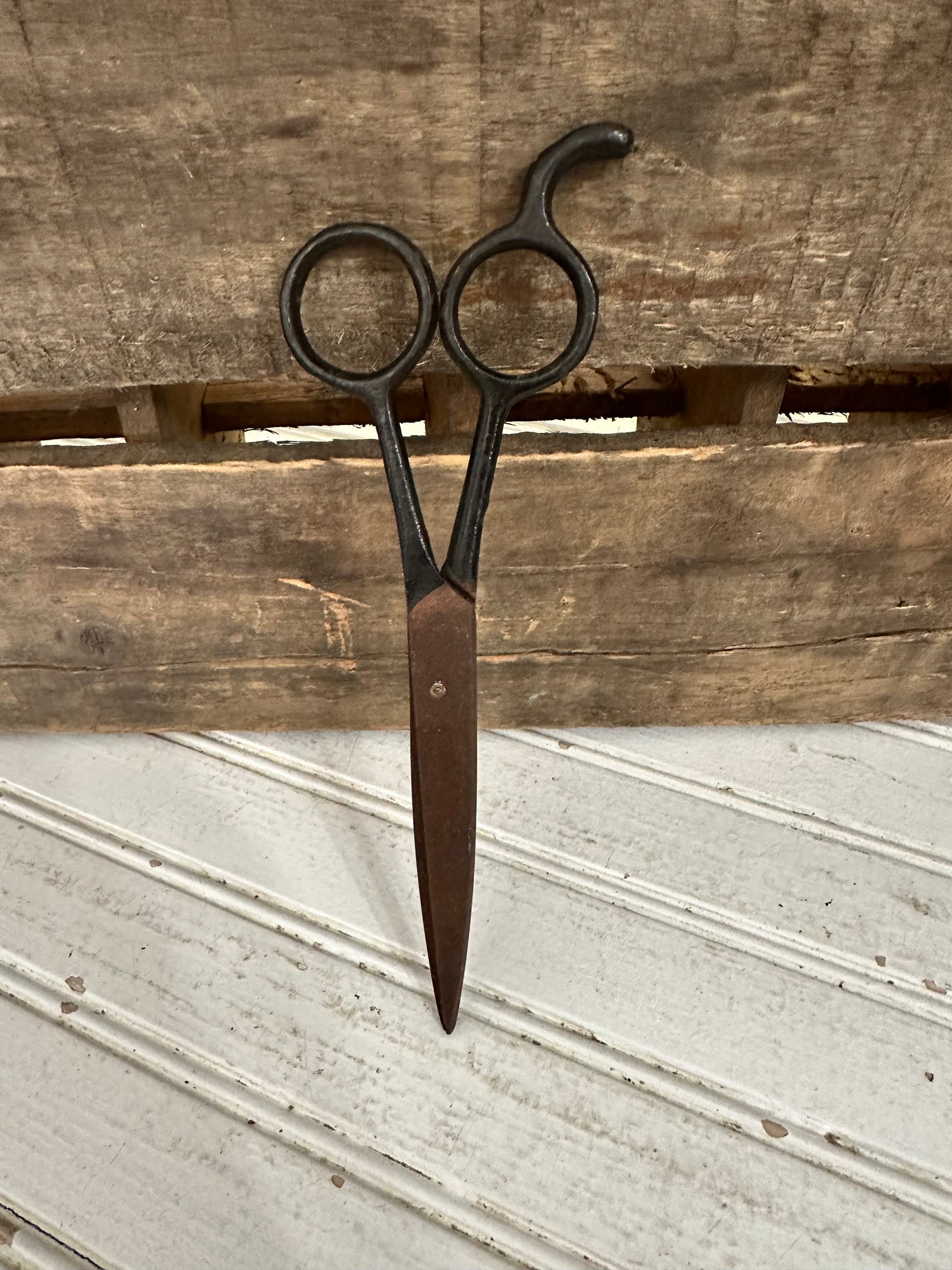 Metal Scissors