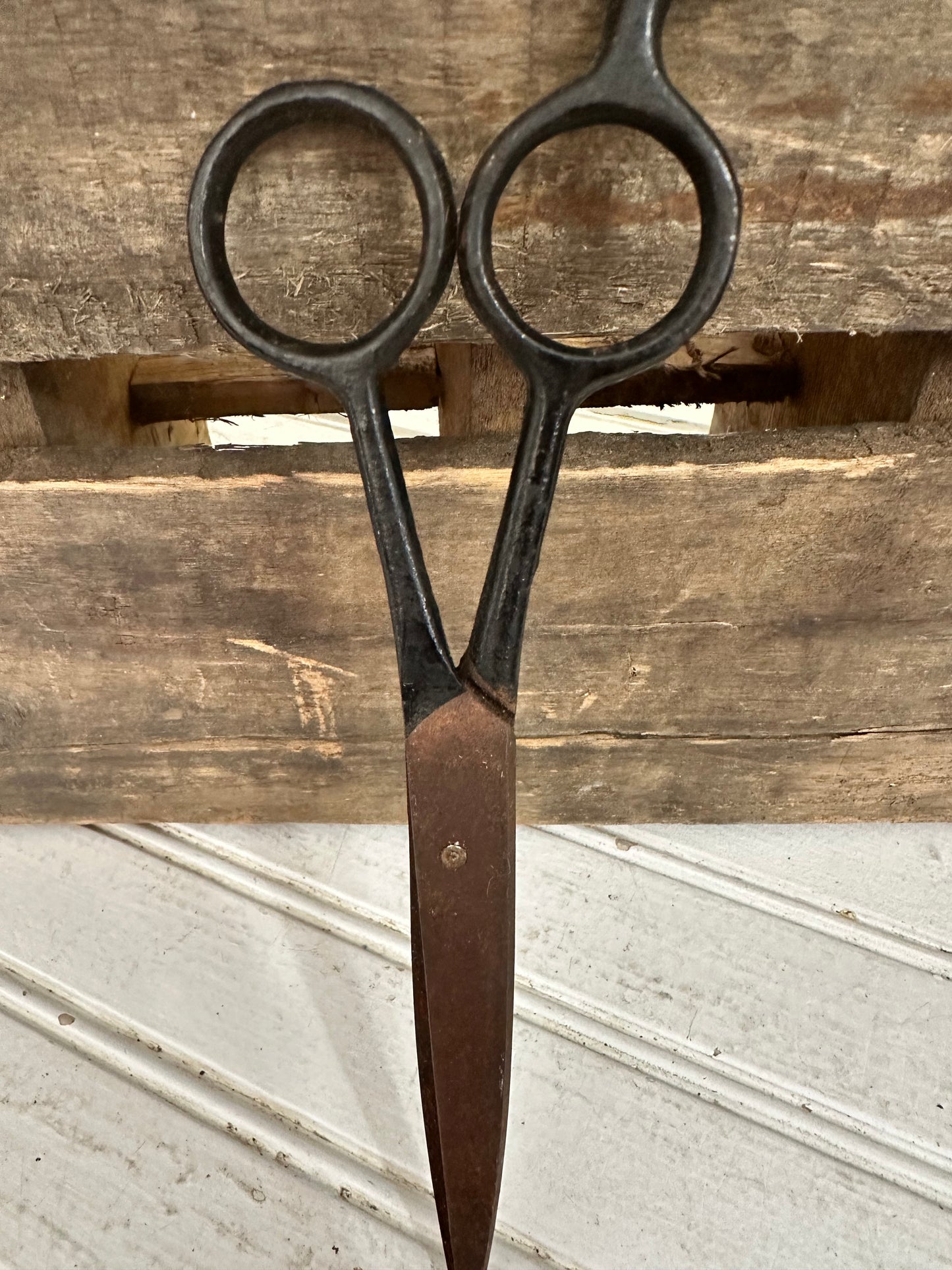 Metal Scissors
