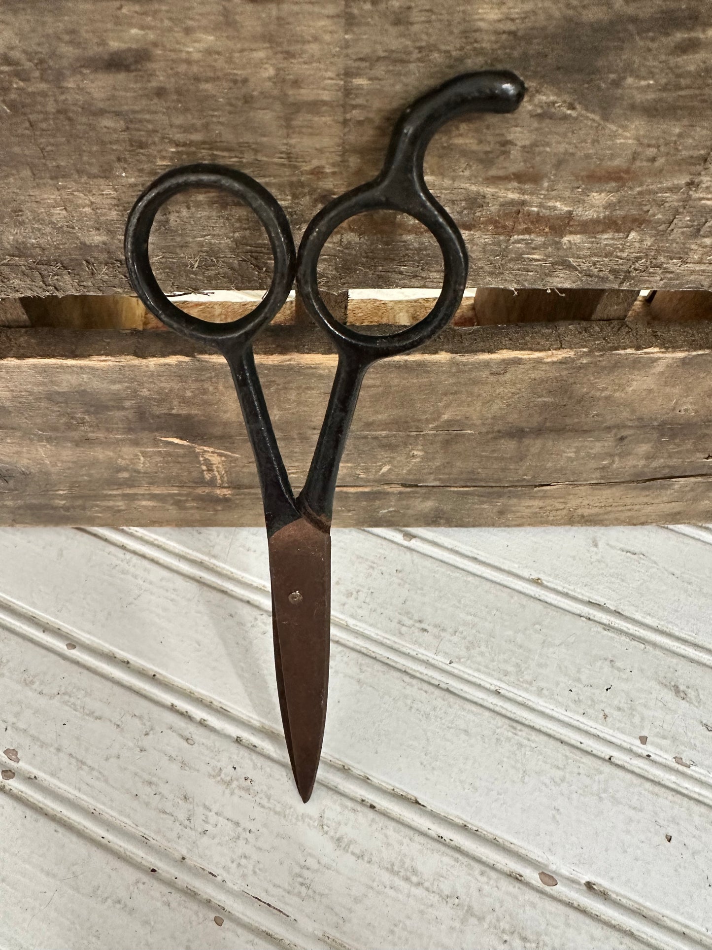 Metal Scissors