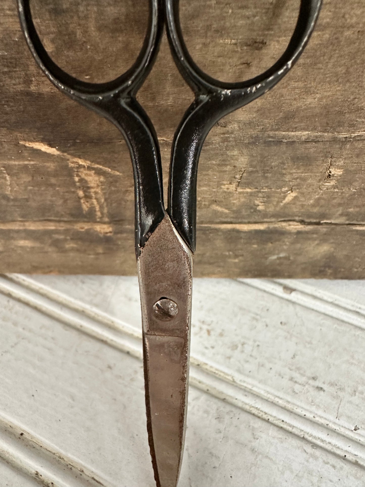 Metal Scissors