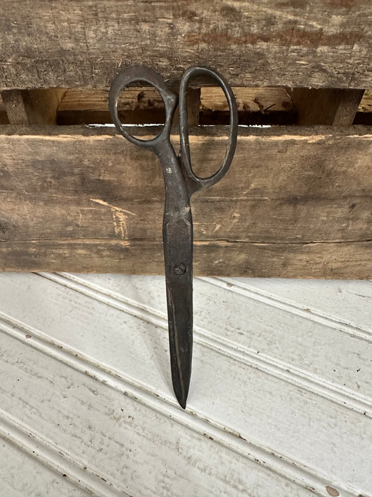 Metal Scissors