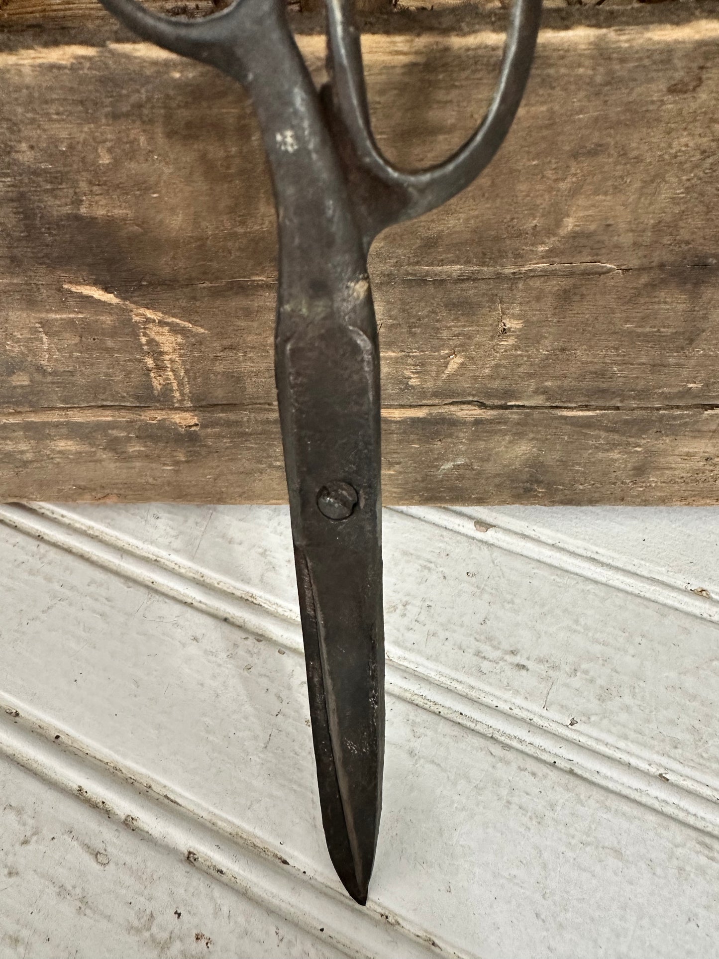 Metal Scissors