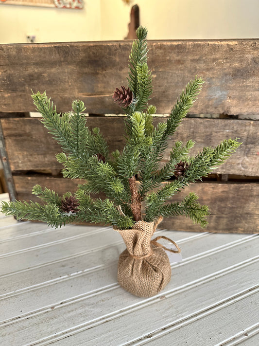 Pinecone Tree