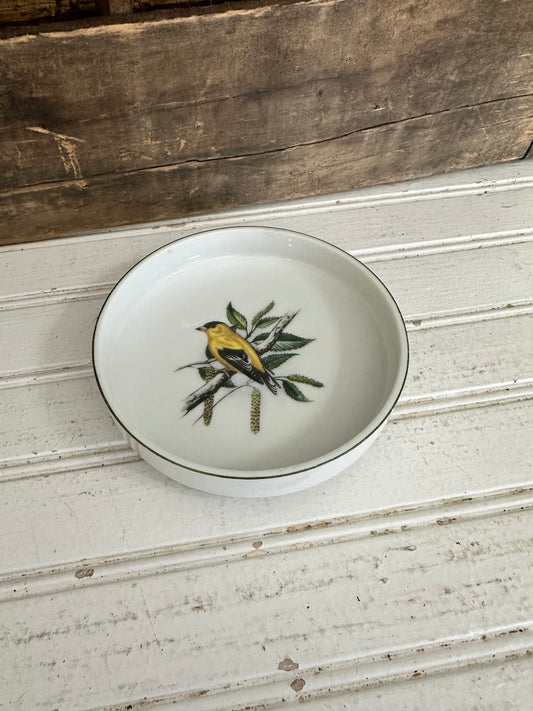 Chadwick Saucer w/ bird design