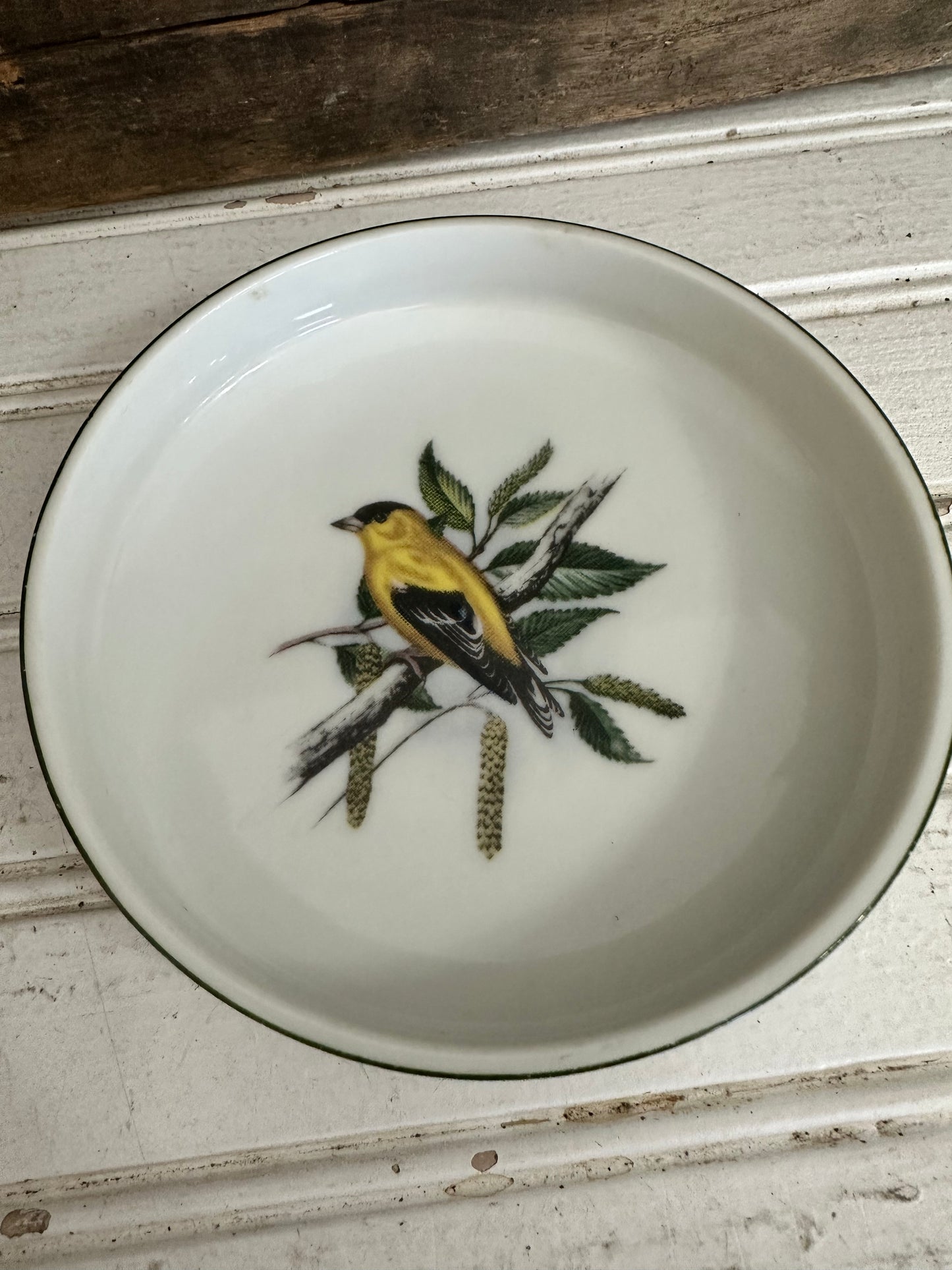 Chadwick Saucer w/ bird design