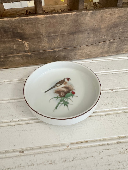 Chadwick Saucer w/ bird design