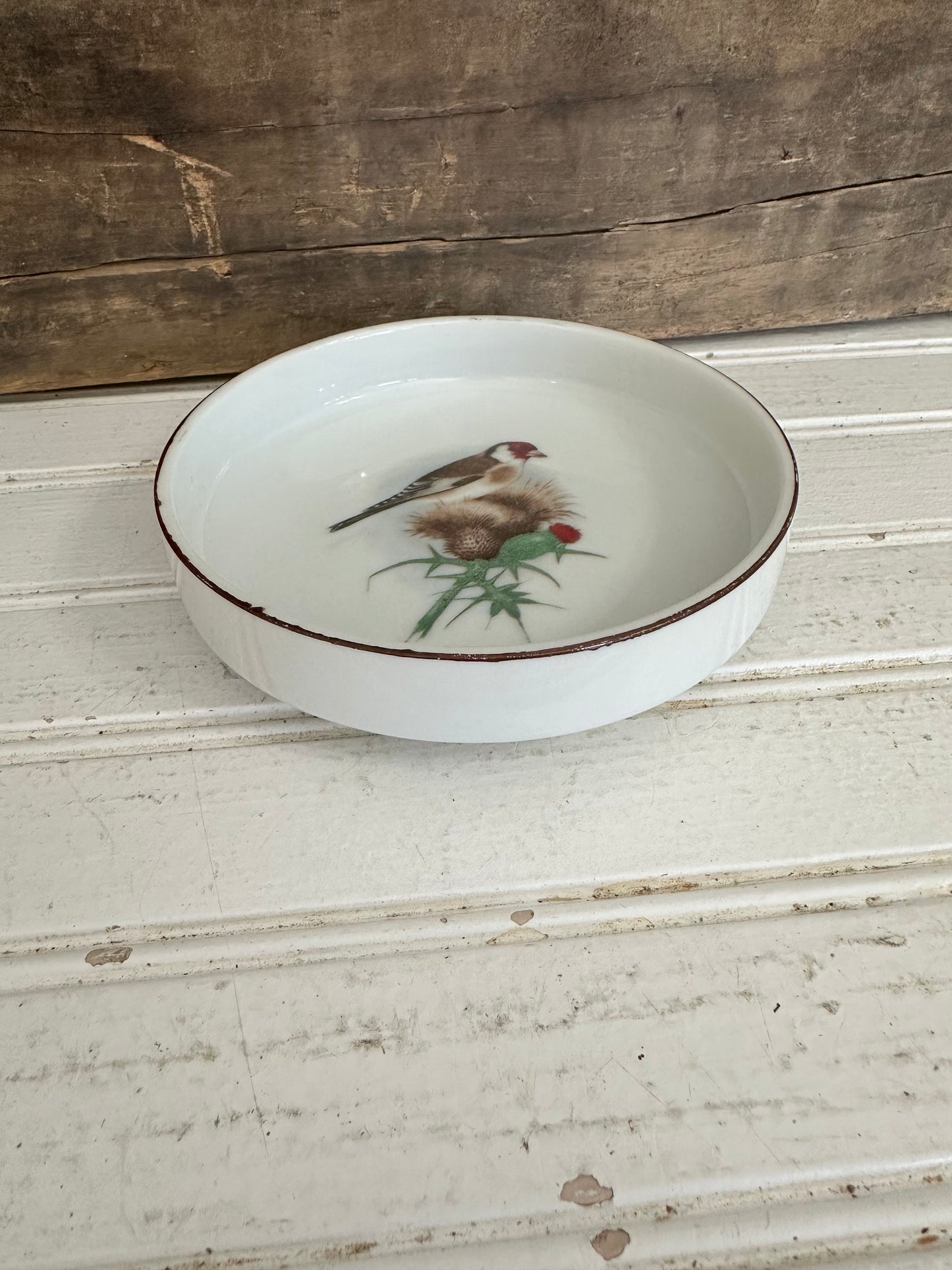 Chadwick Saucer w/ bird design