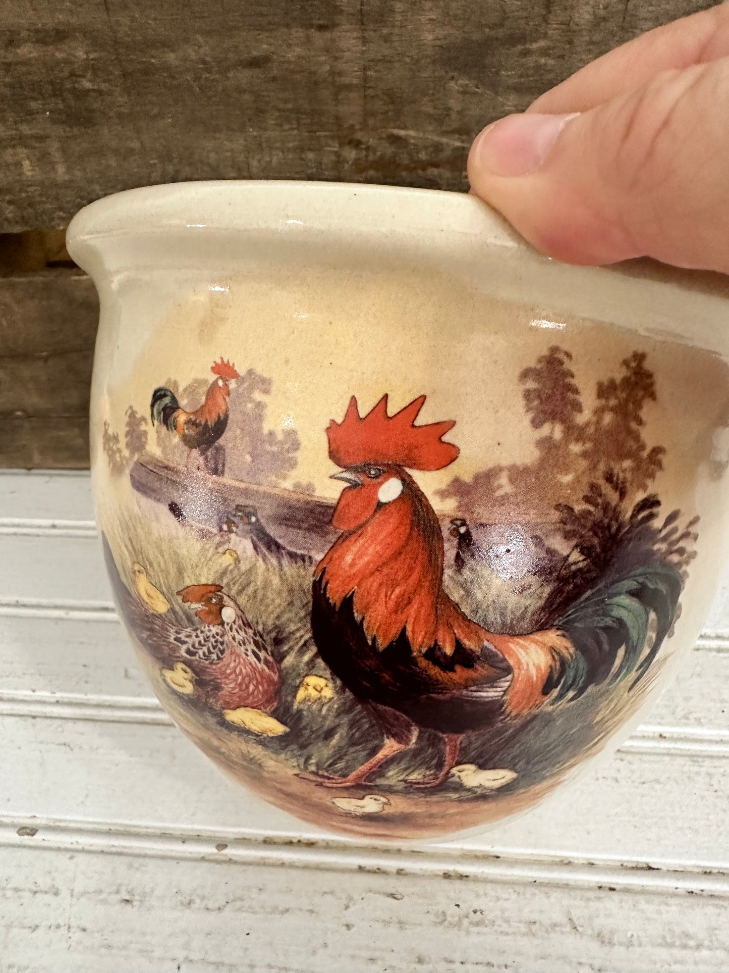 Shaker and Thangs Rooster crock