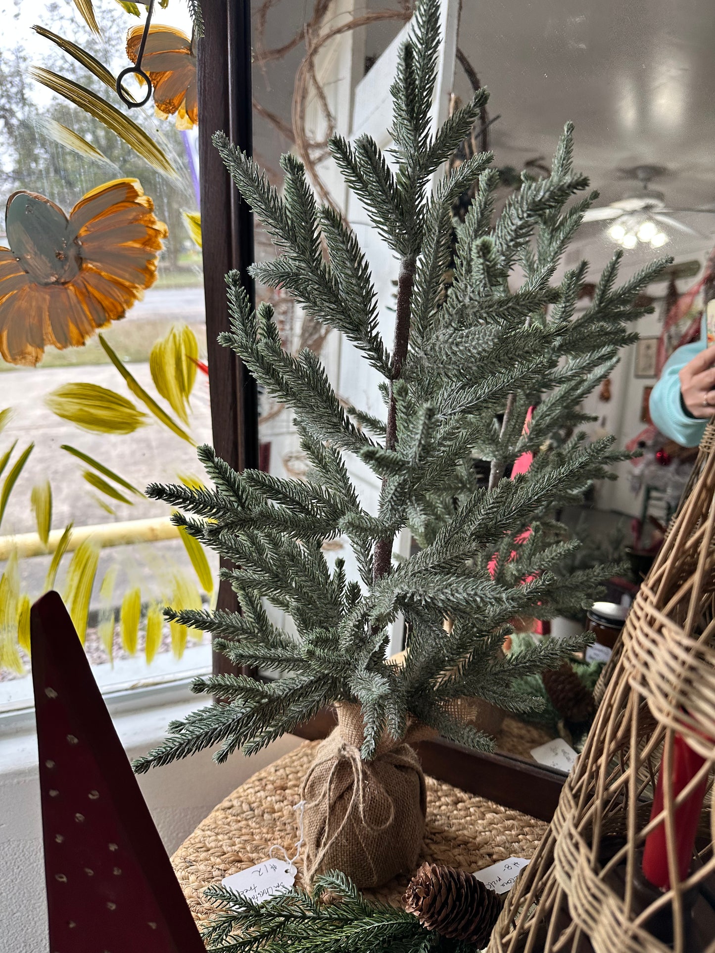 Frosted tree-sage green