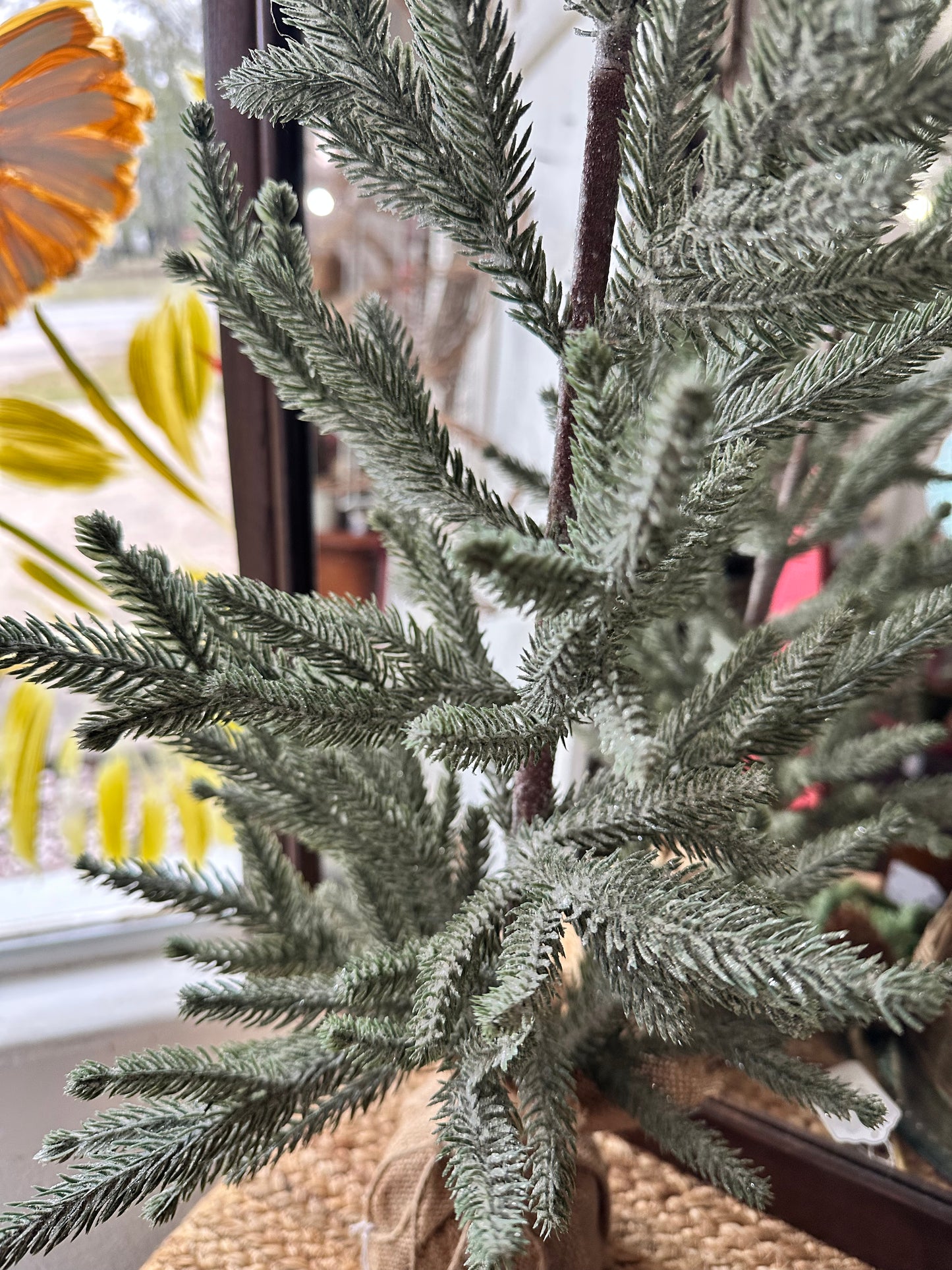 Frosted tree-sage green