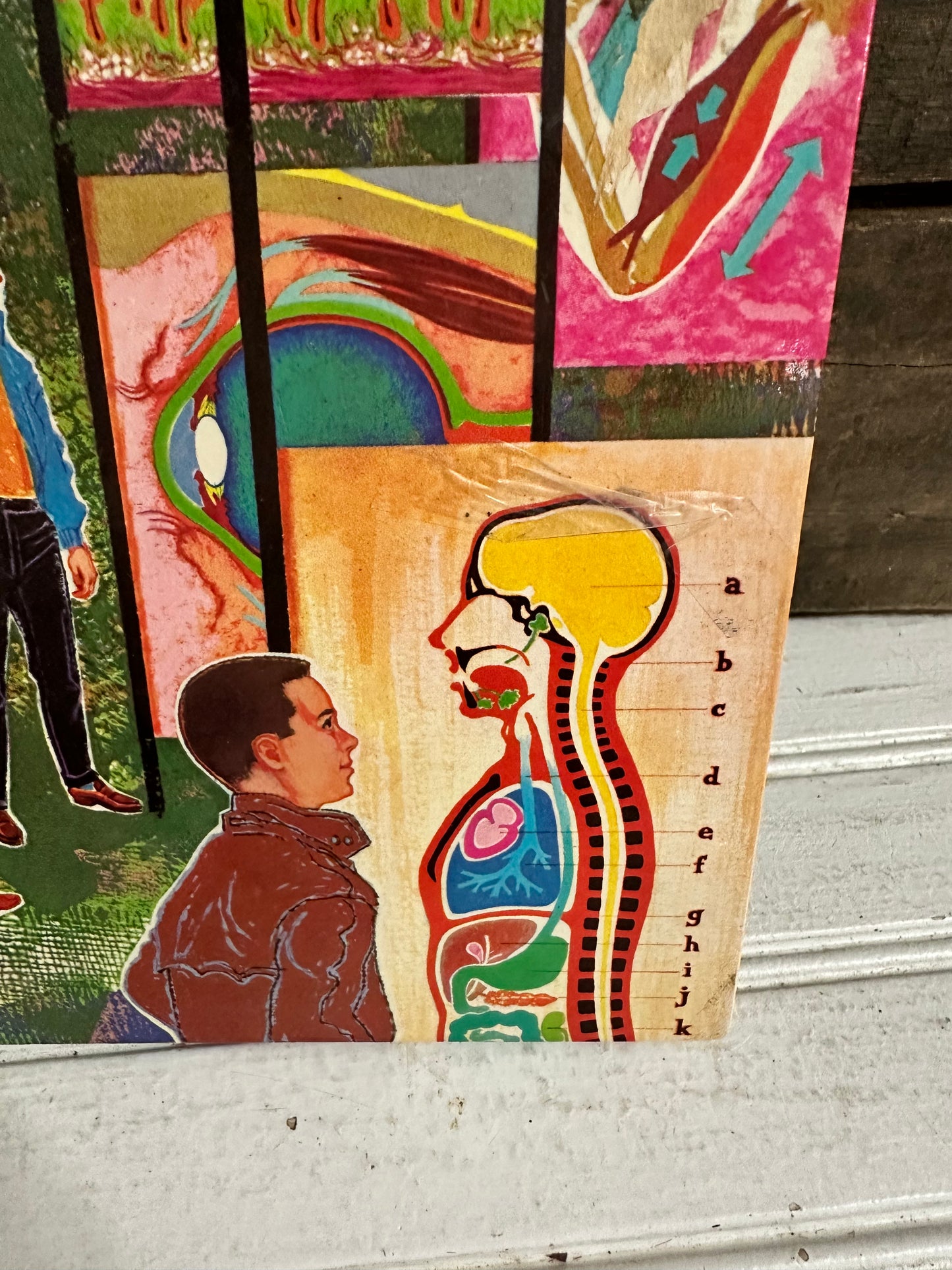 Your Body-learn about book