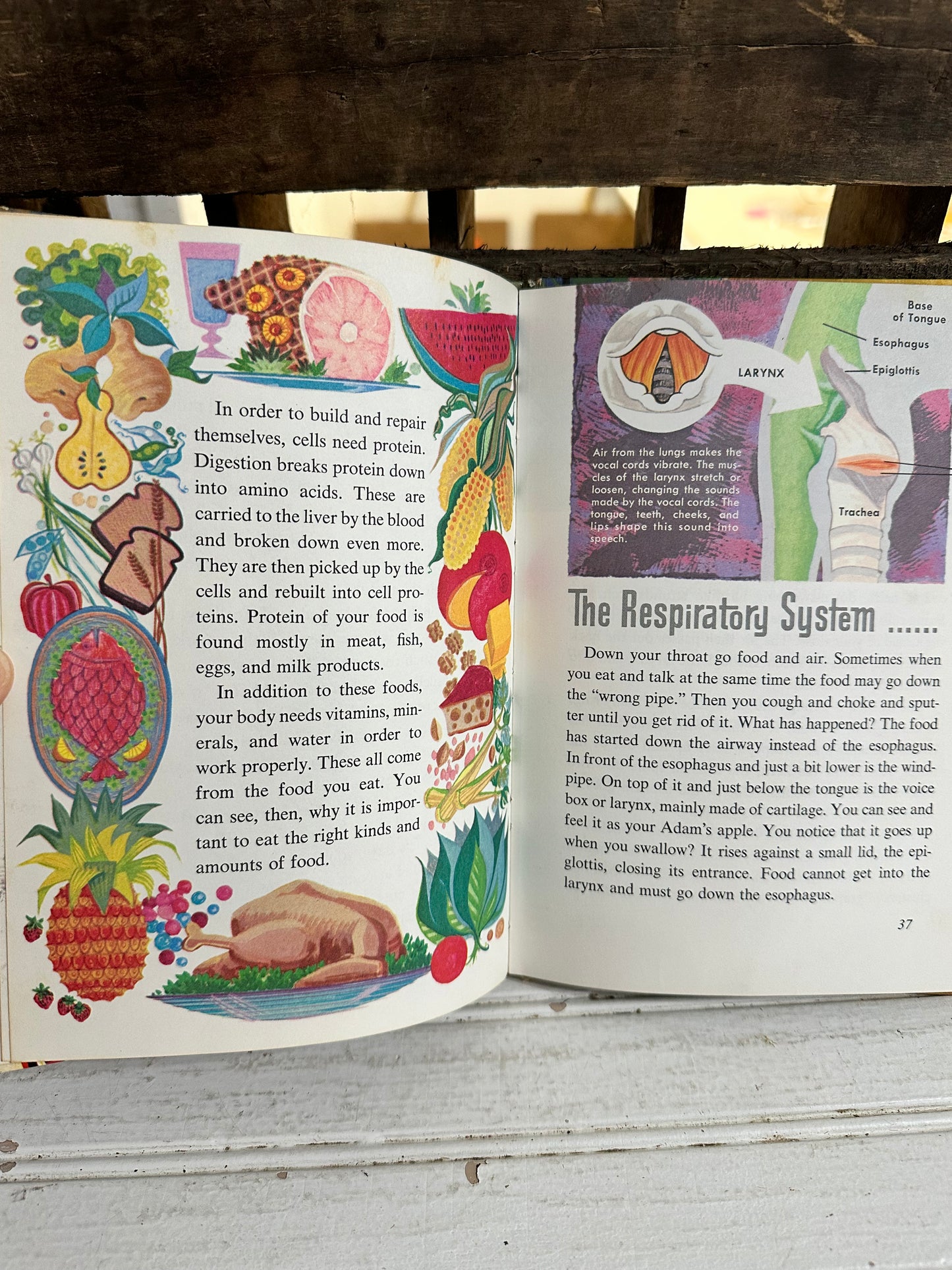 Your Body-learn about book