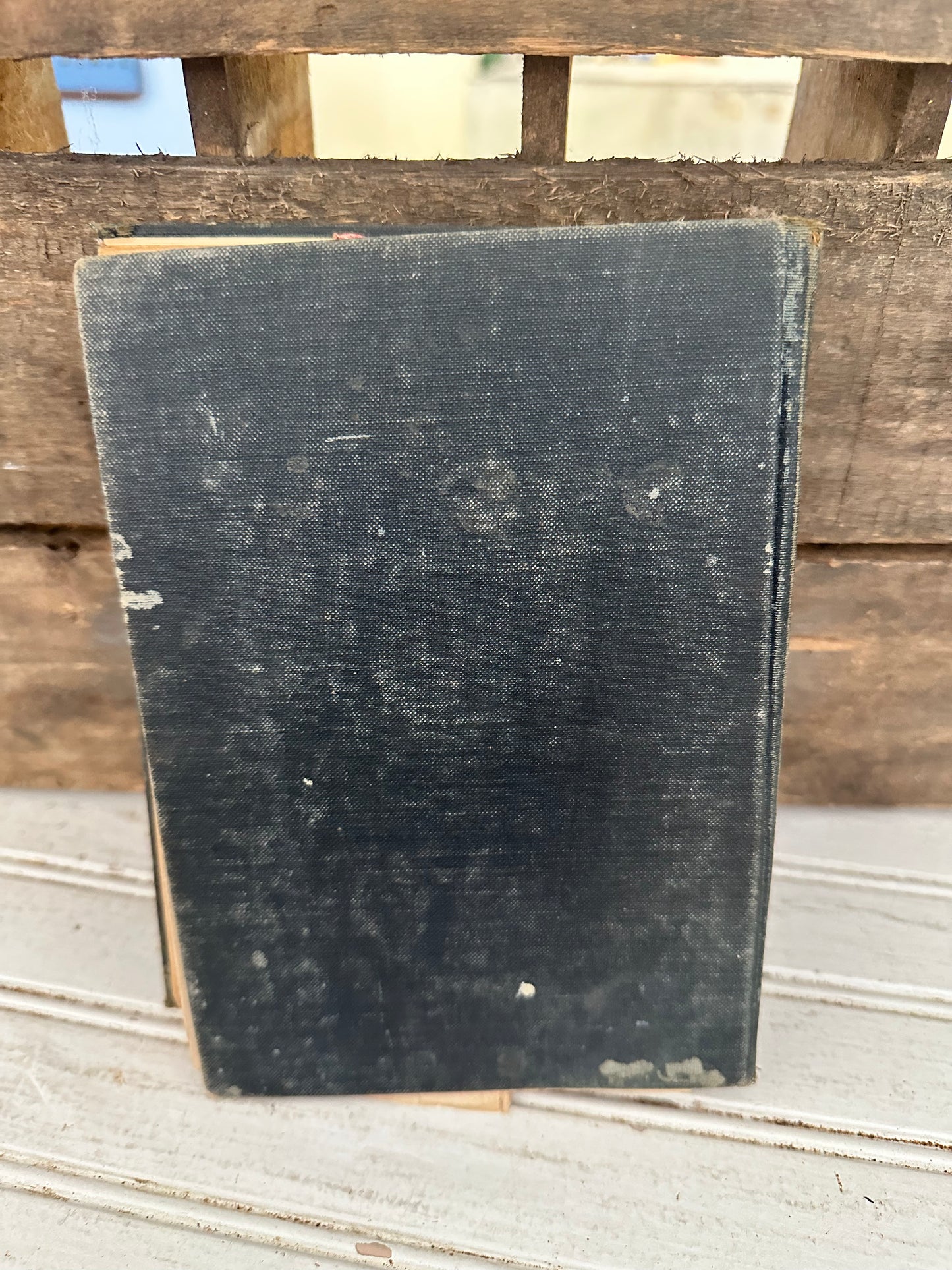 The Elson Reader- book five