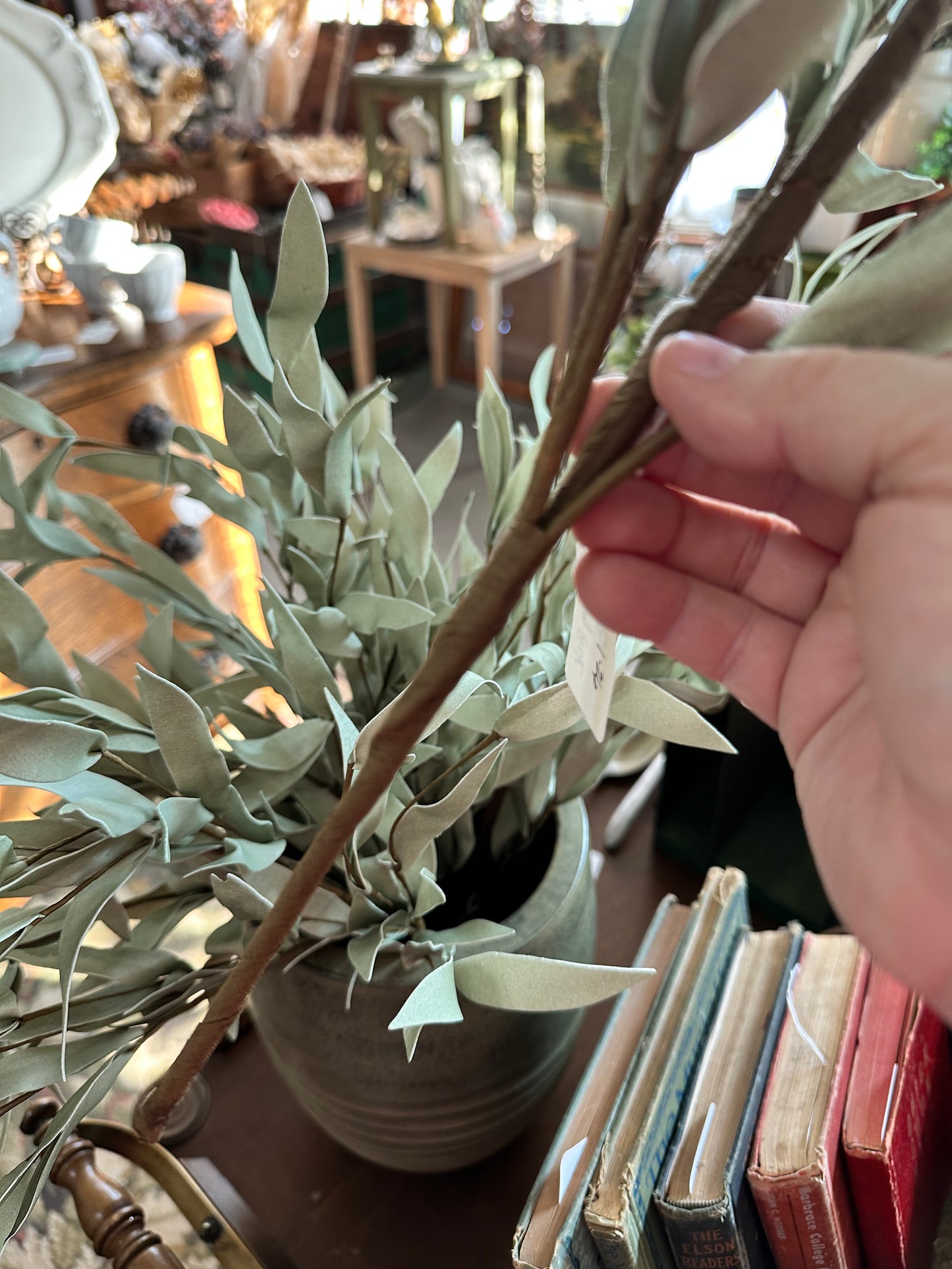 Spring pick