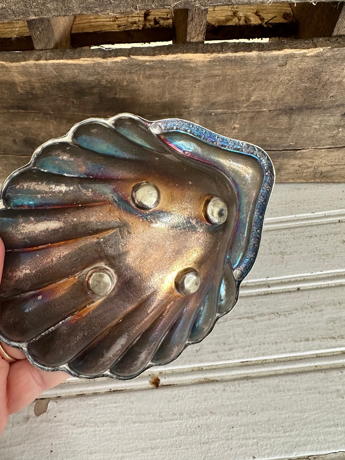 Shell footed dish