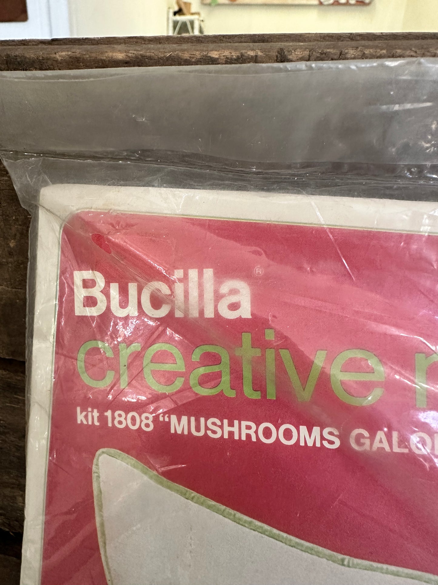 Bucilla Needlecraft kit- mushrooms