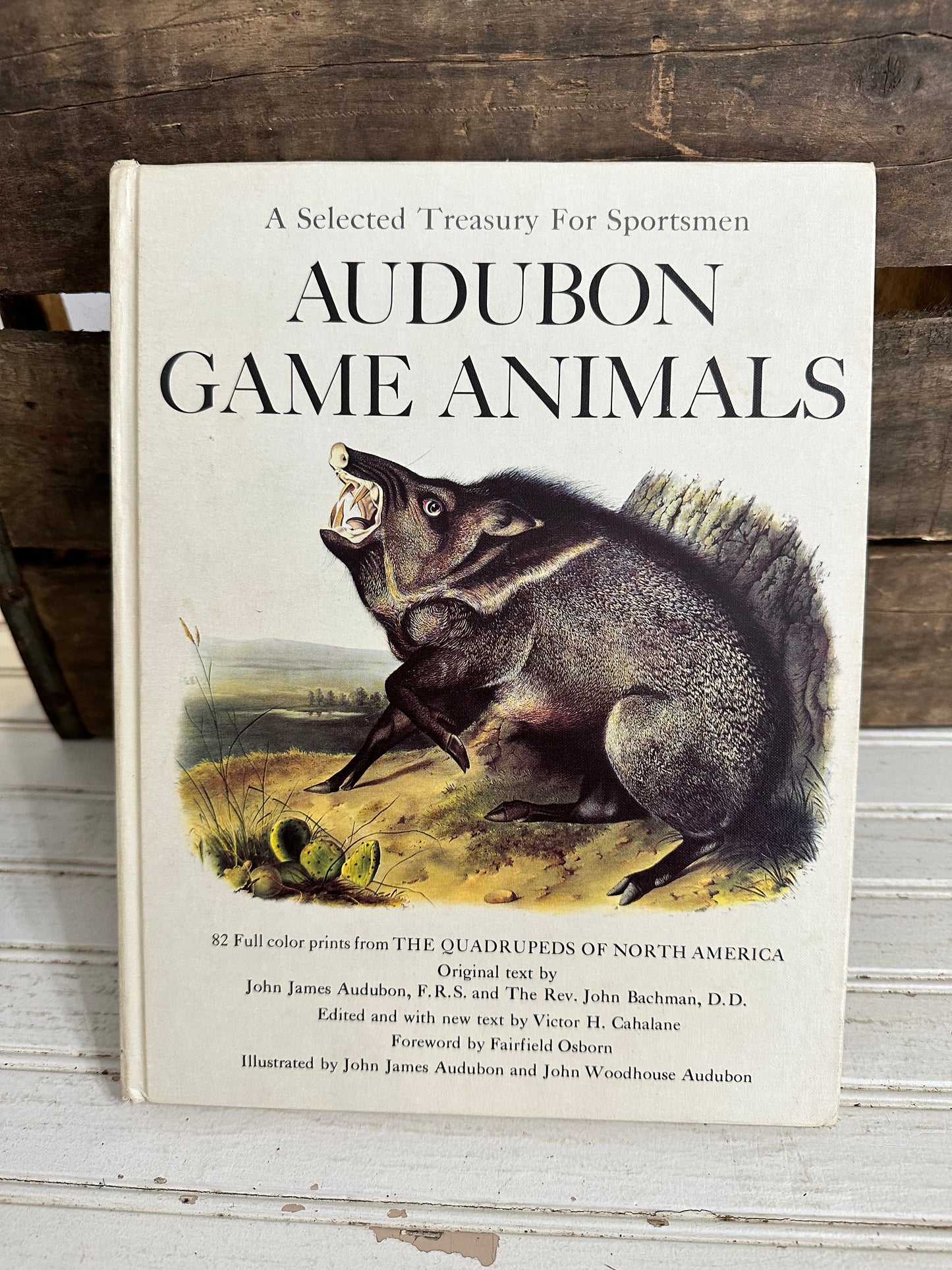 Audubon Game Animals
