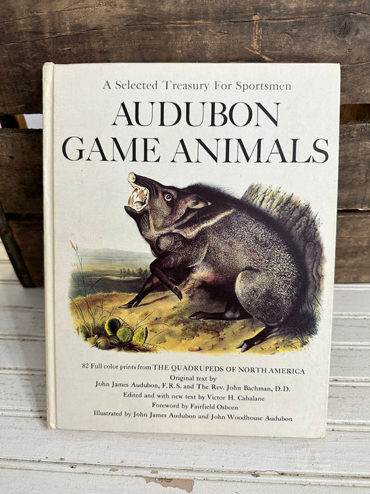 Audubon Game Animals