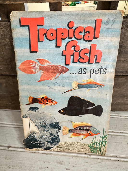 Tropical Fish…as pets