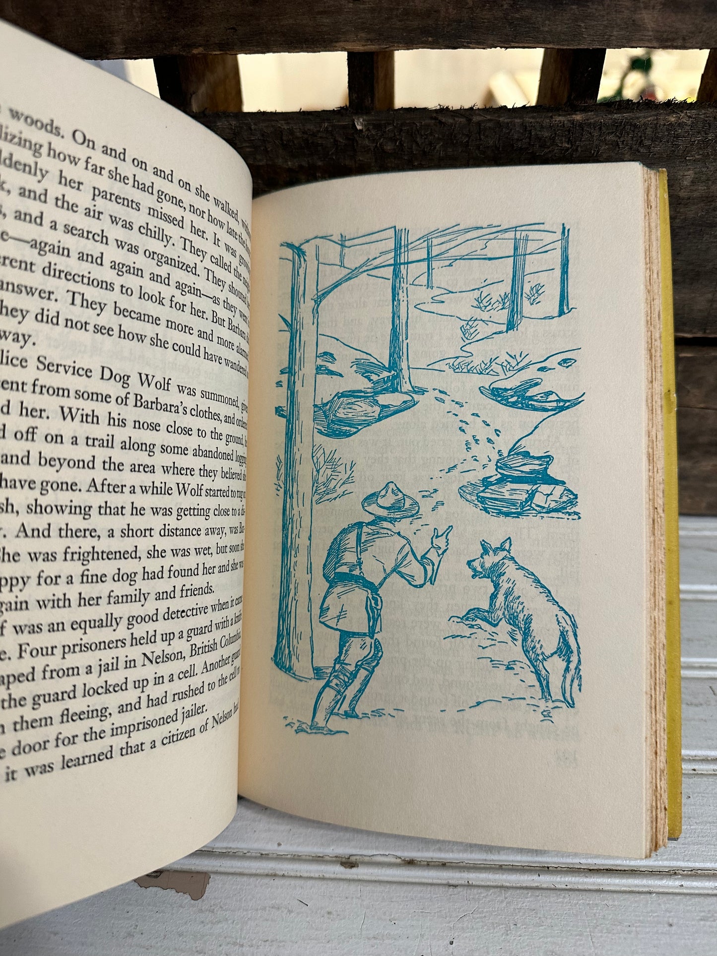 The Real Book about Crime Detection