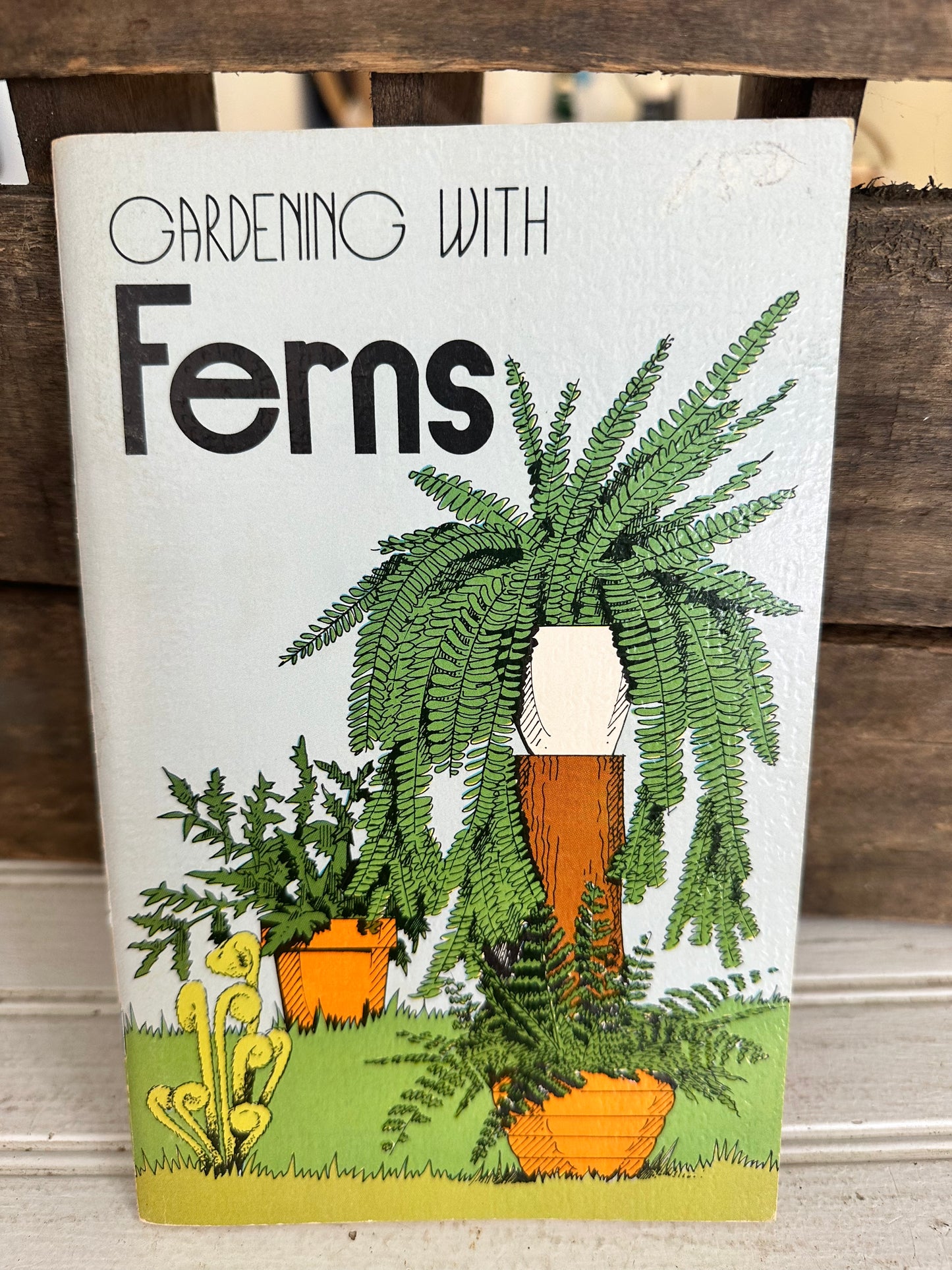Gardening with Ferns
