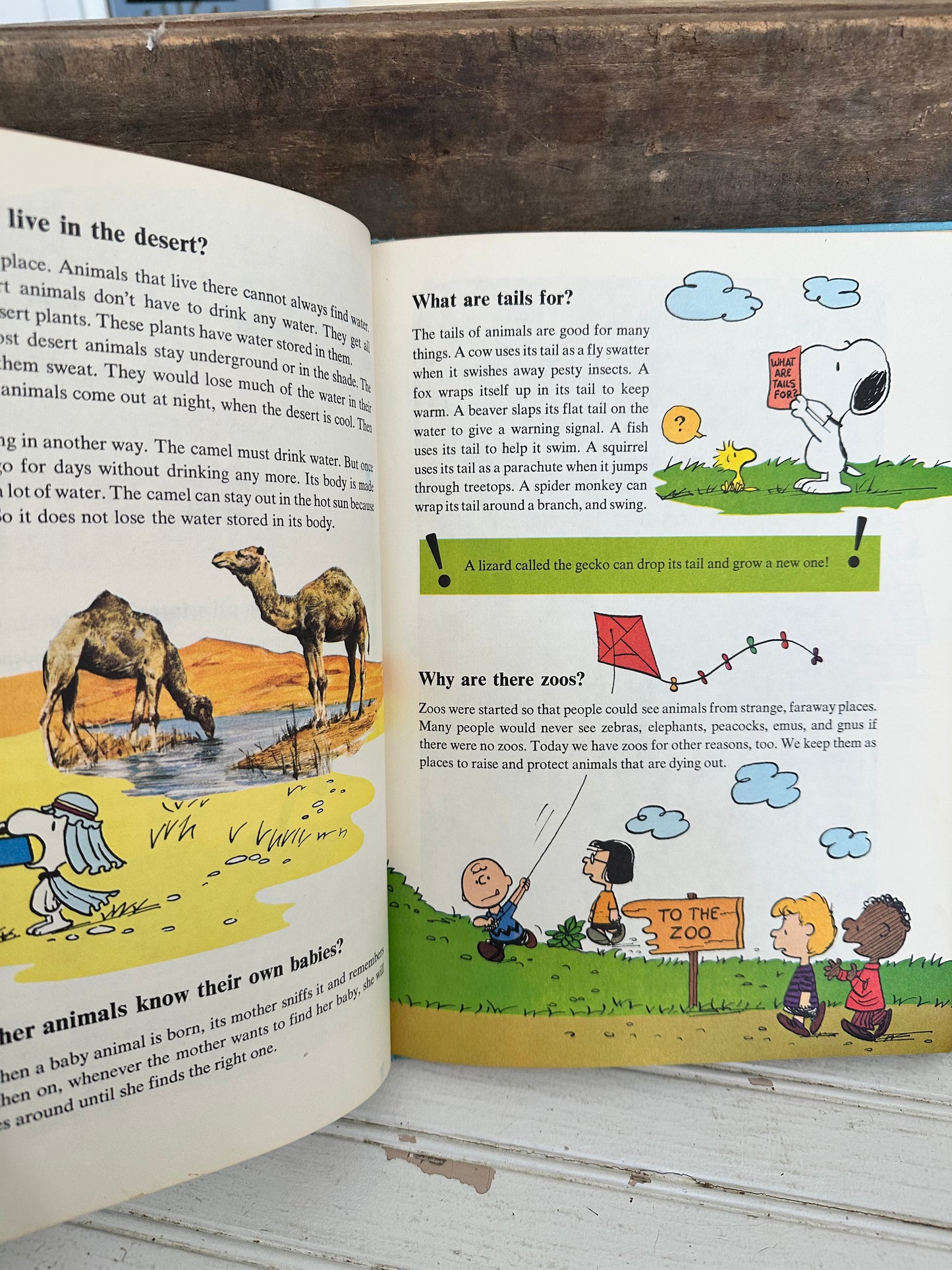 Charlie Brown’s ‘Cyclopedia - volume 2